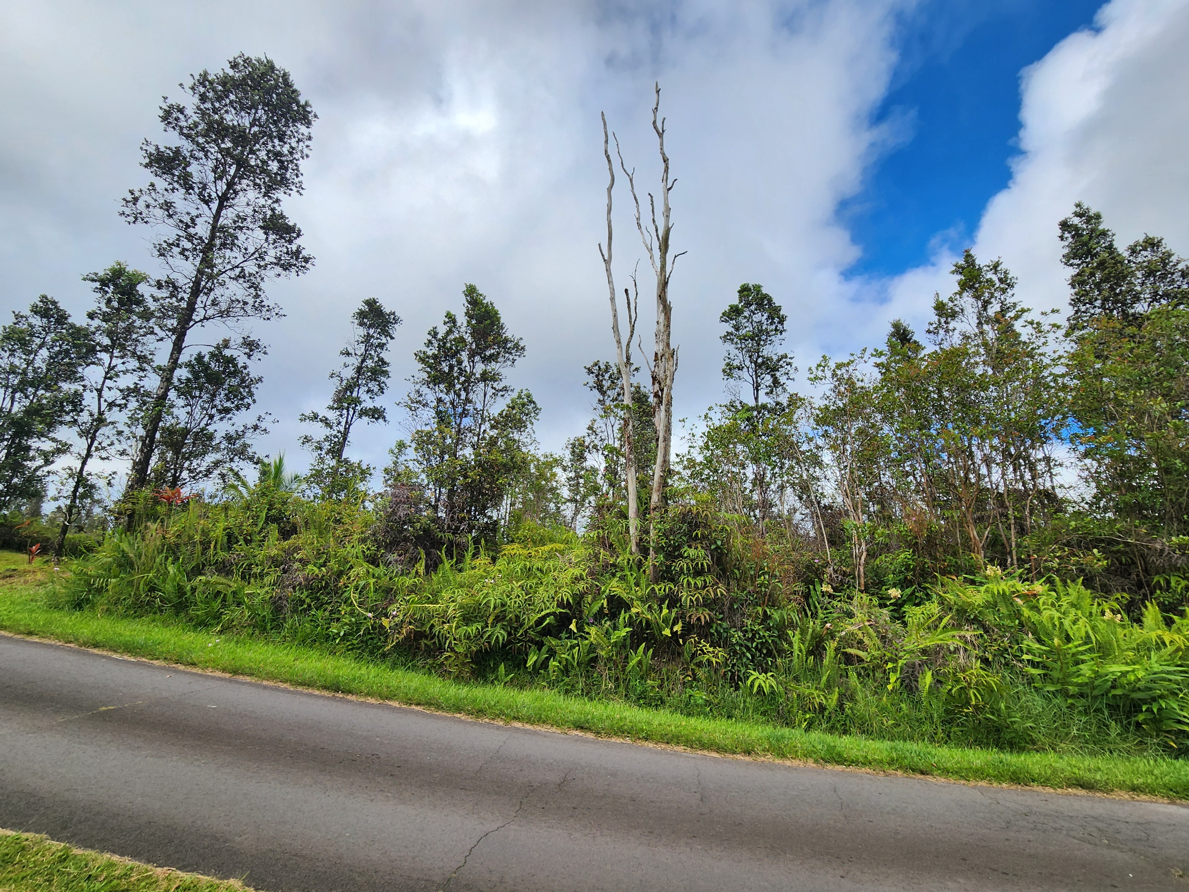 16-1799 Road 1 (Uhini Ana), Mountain View, HI 96760