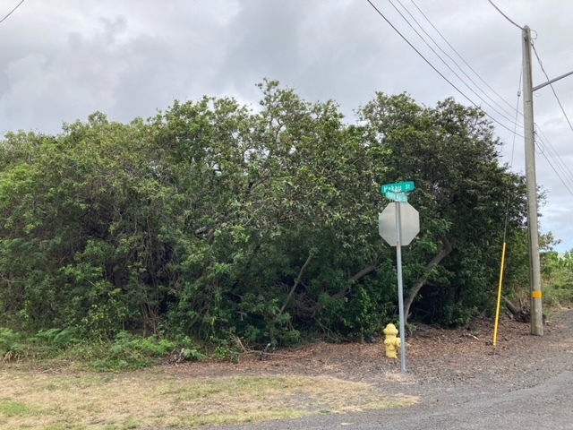 94-5770 Hune Kai St, Naalehu, HI 96772