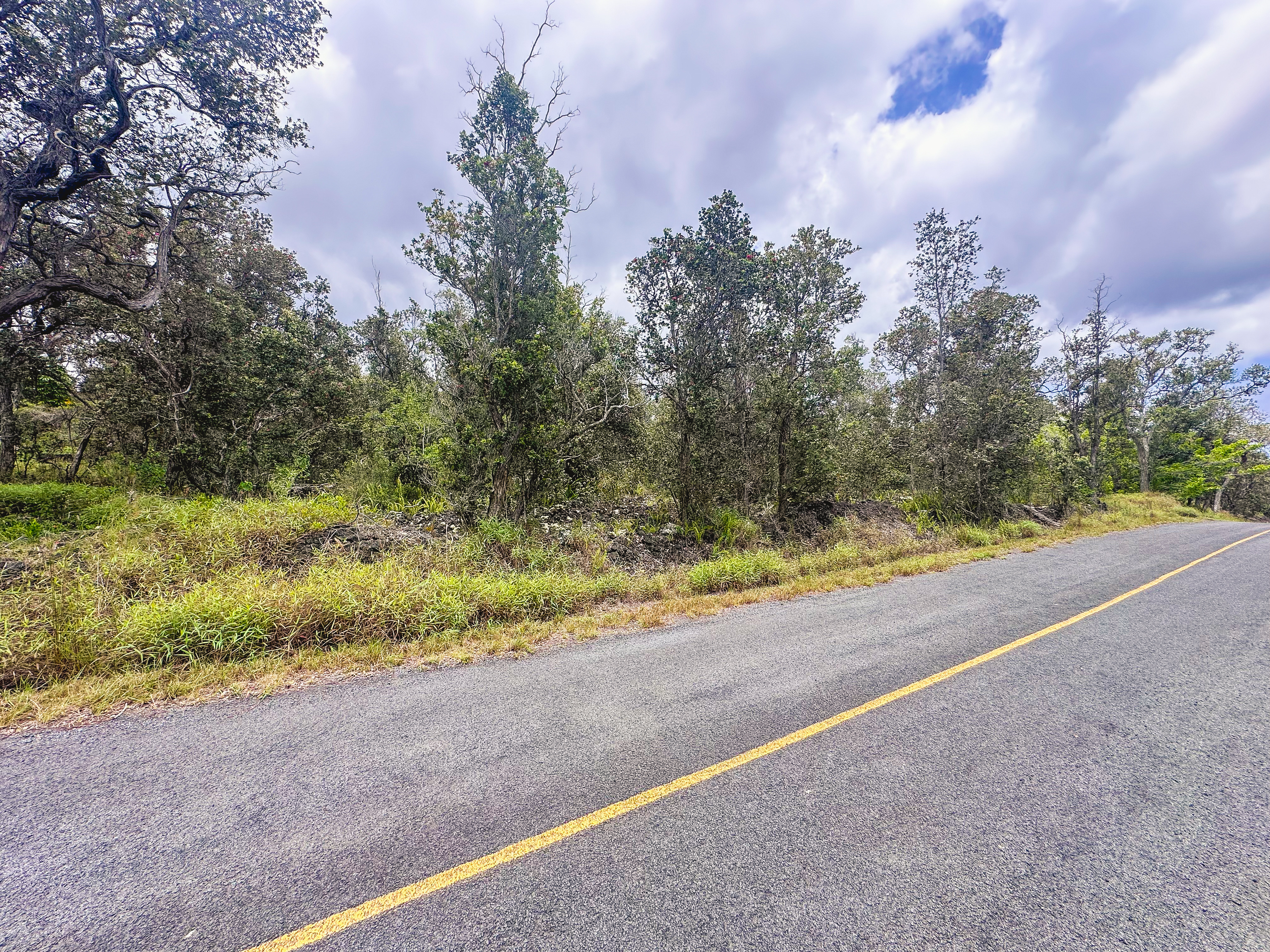 92-9130 Tree Fern Ln, Ocean View, HI 96737