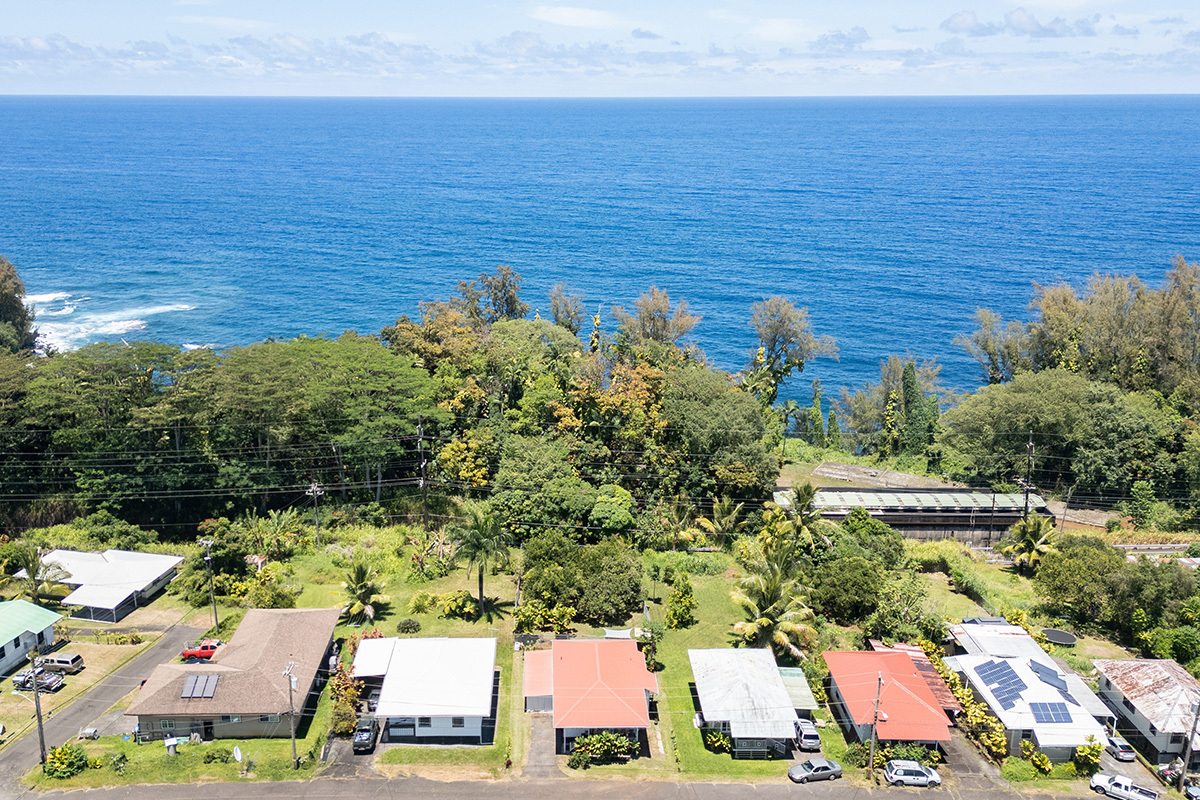 28-1127 Pua St, Honomu, HI 96728