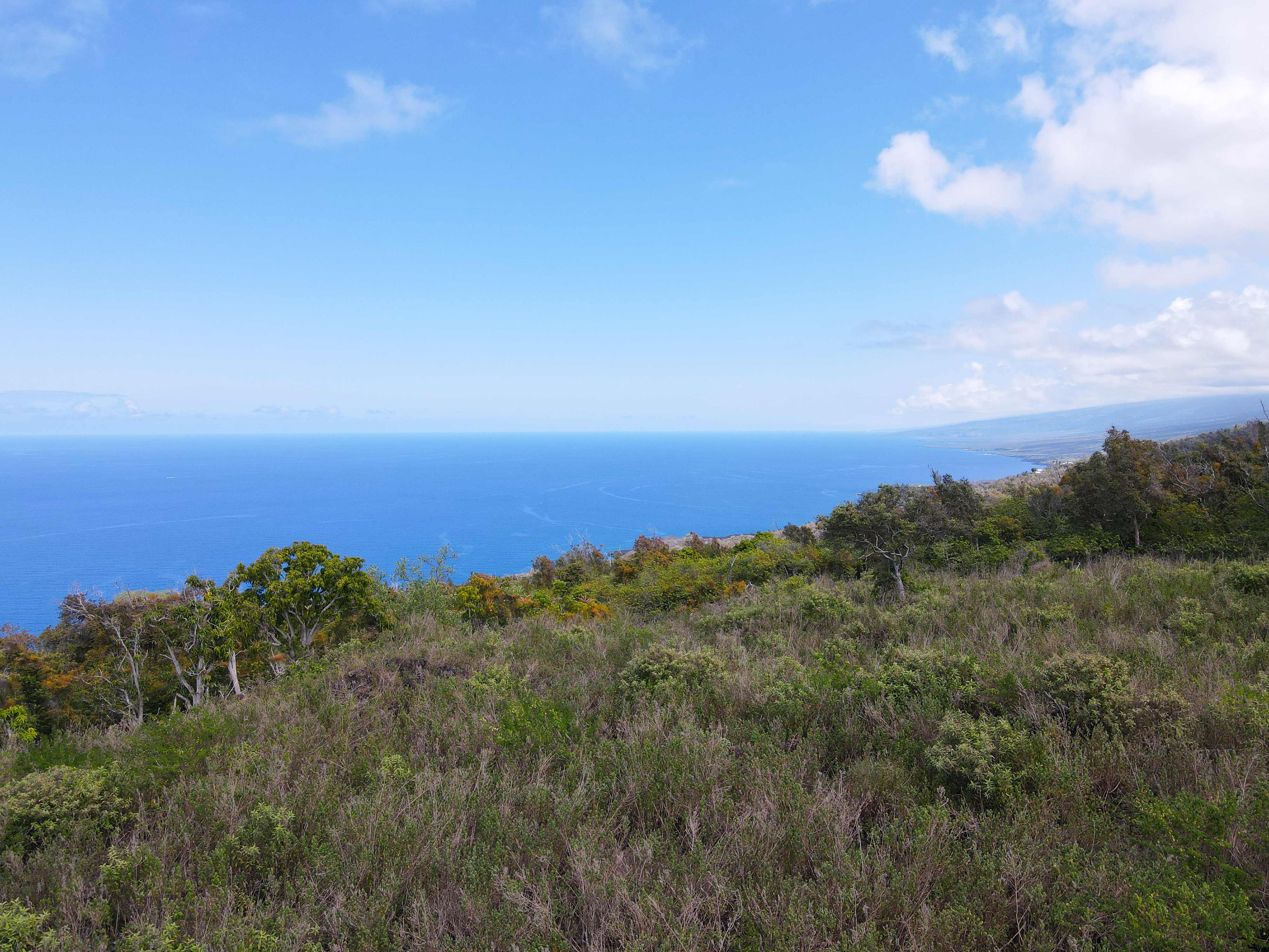 87-451 Ahe Kolo Pl, Captain Cook, HI 96704