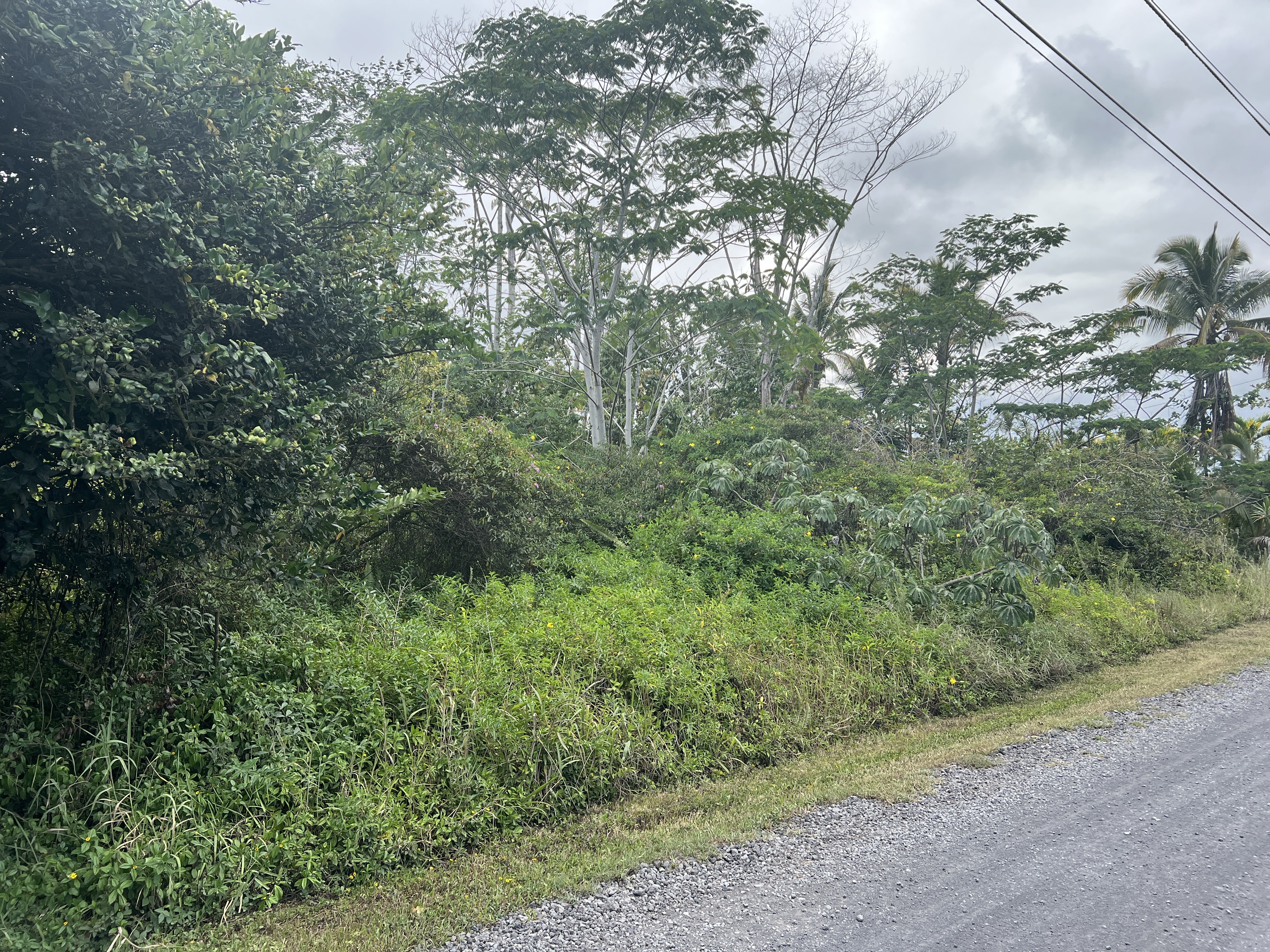 15-1590 17Th Ave, Keaau, HI 96749