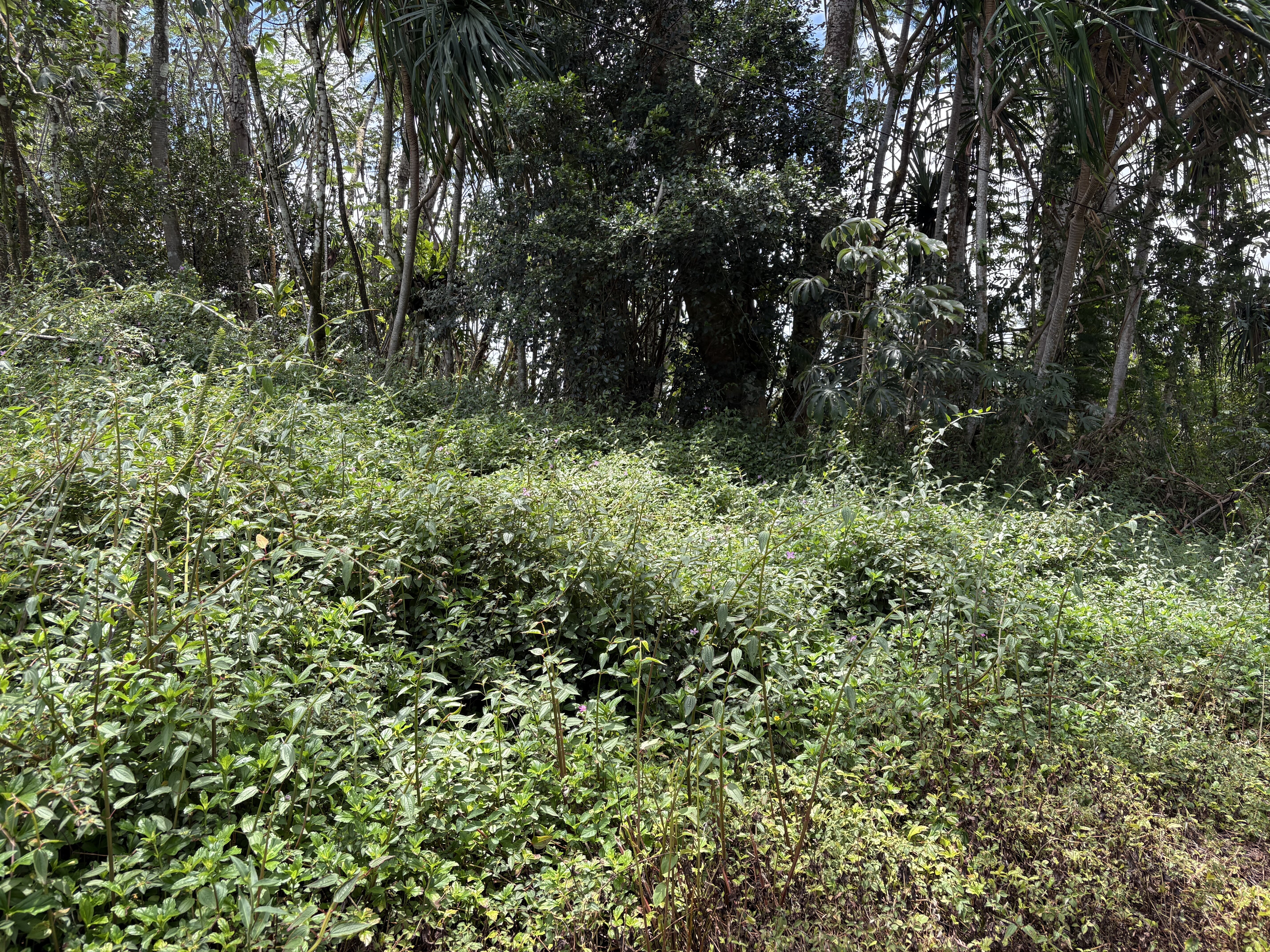 15-281 Kahakai Blvd, Pahoa, HI 96778