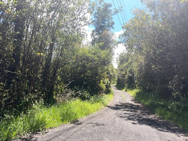 17-3352 Maunalani Tract Rd, Mountain View, HI 96771