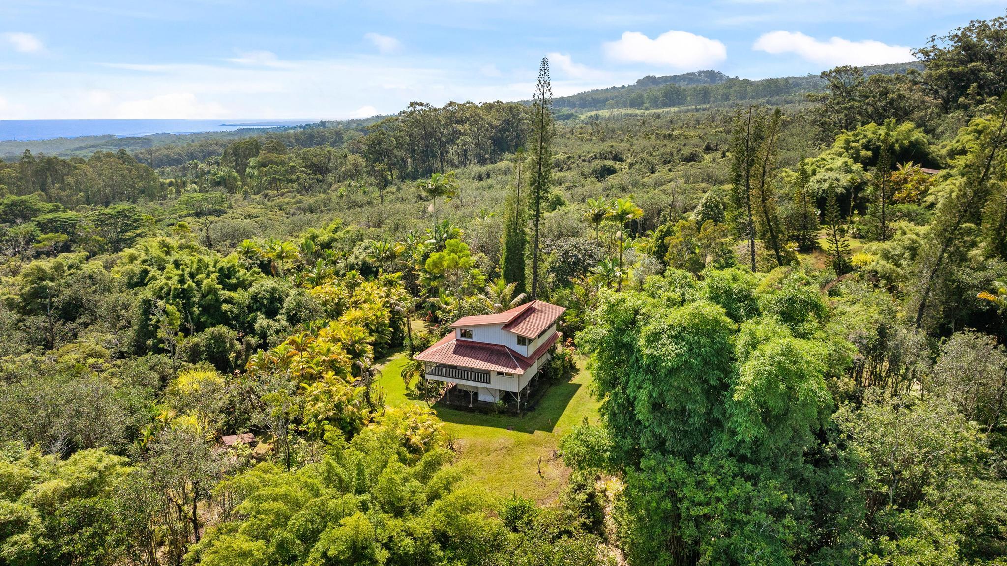 29-2828 Kaiwiki Homestead Rd, Hakalau, HI 96710