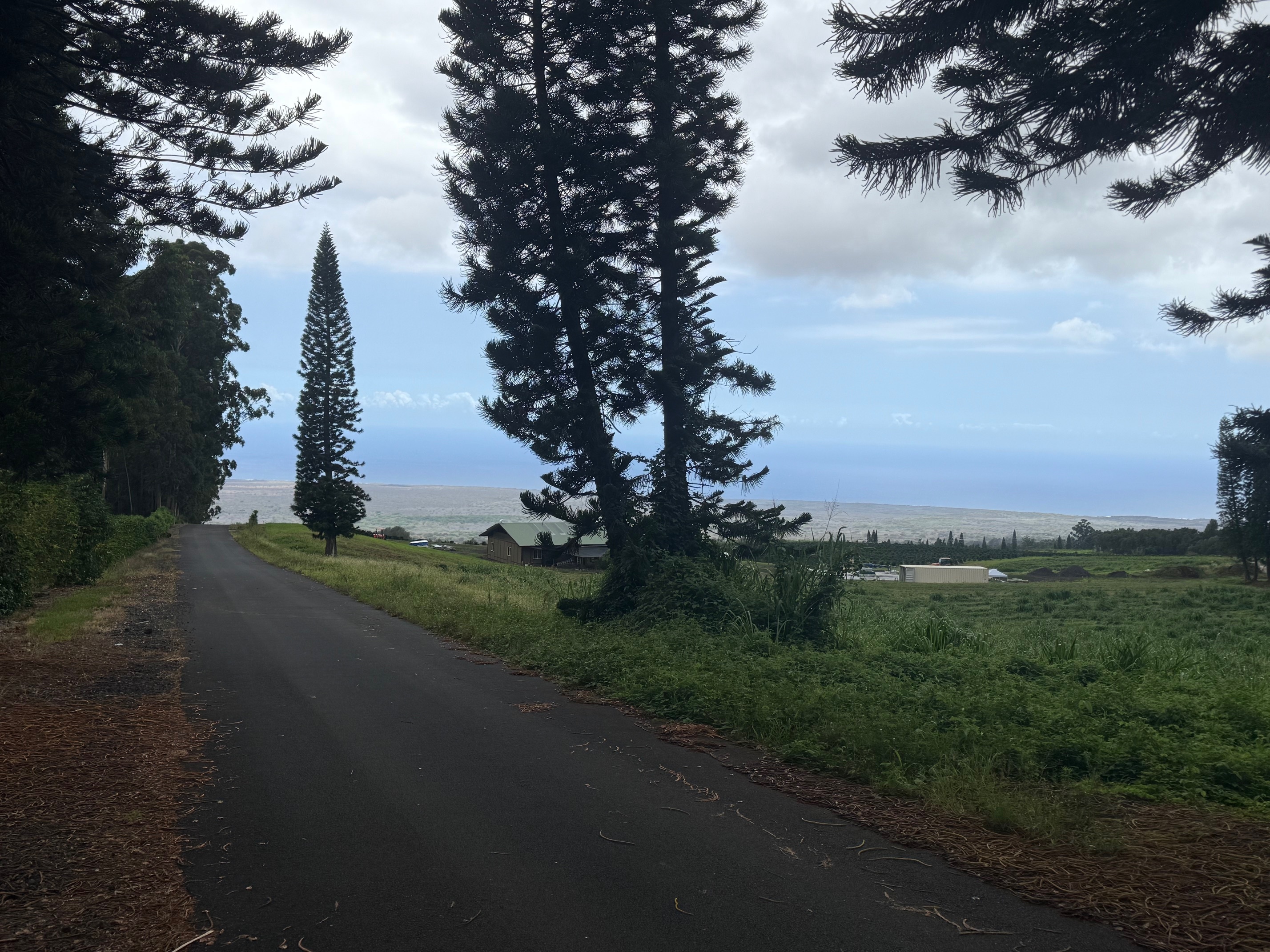 96-1970 Kumupea Road, Pahala, HI 96777
