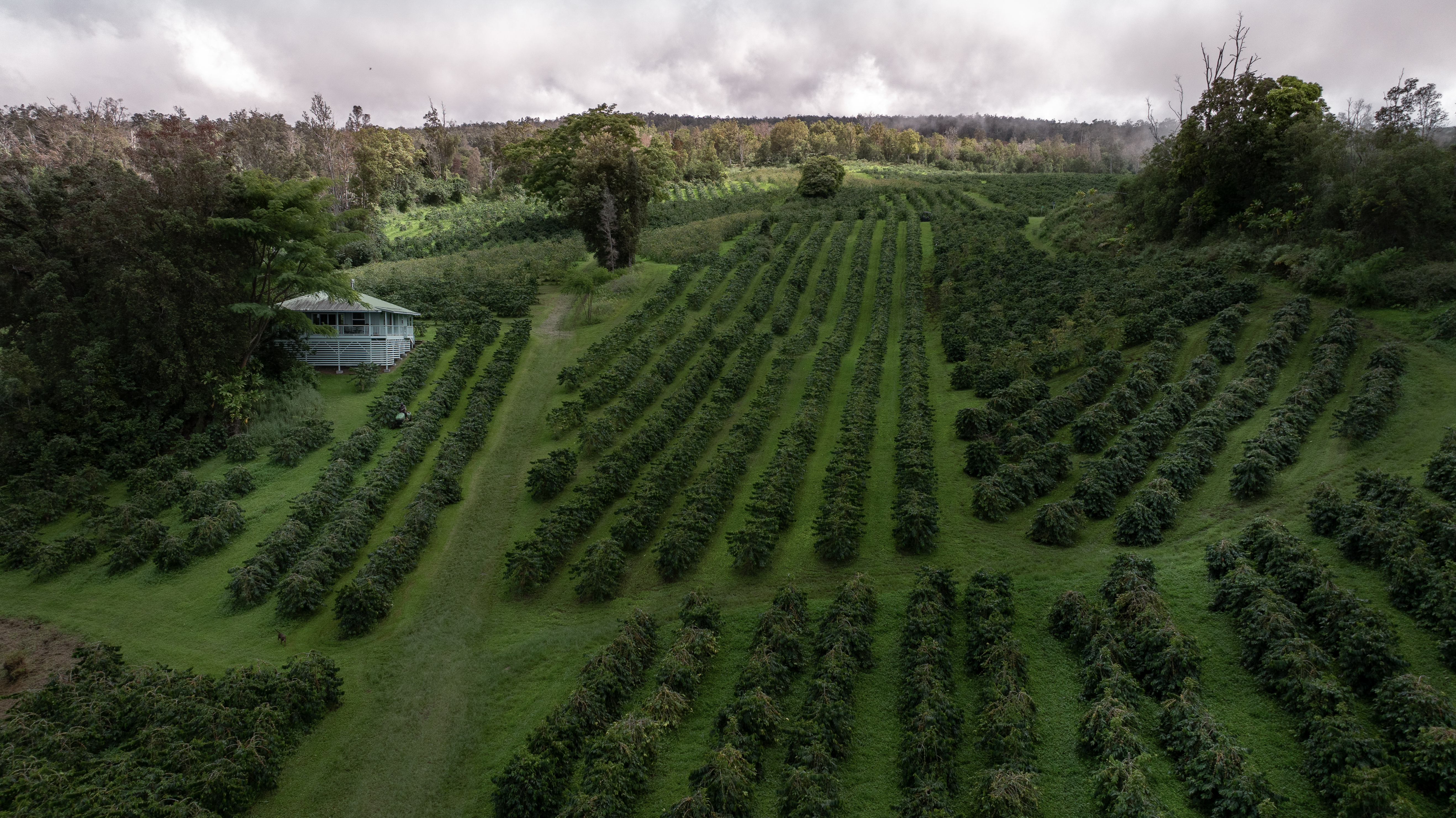 87-2854 Hawaii Belt Rd, Captain Cook, HI 96704