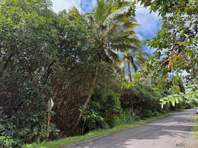 12-4293 Ocean View Pkwy, Pahoa, HI 96778
