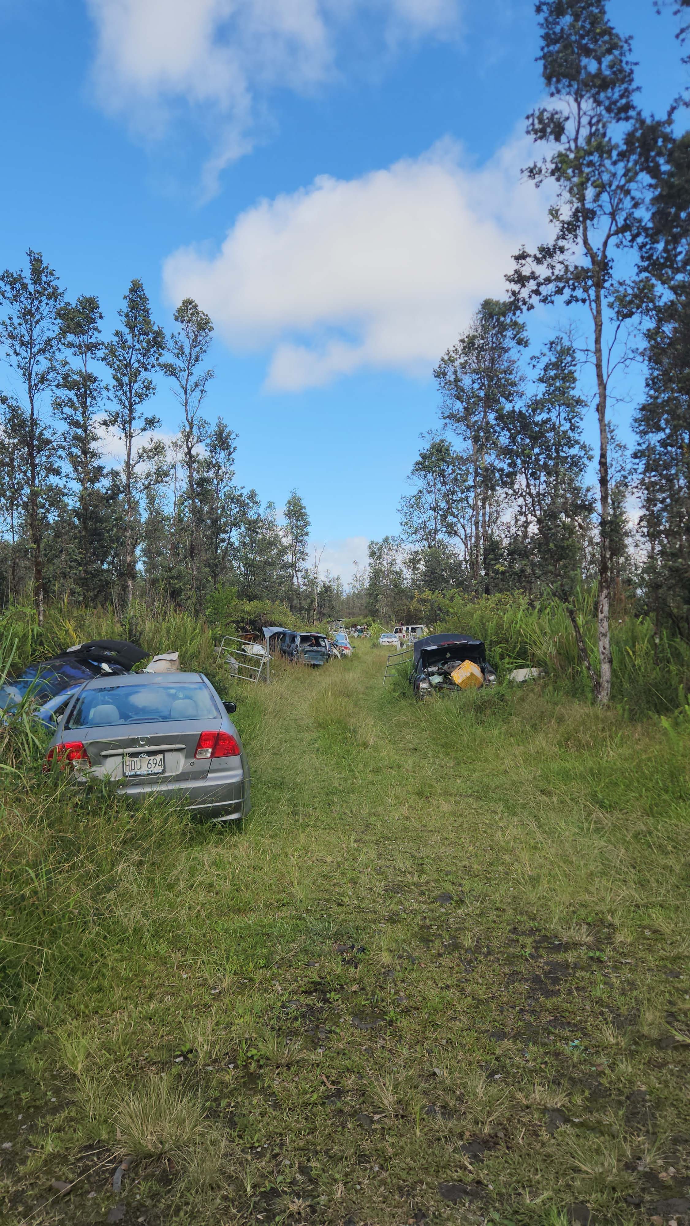 16-2077 Ao Rd (Road 2), Mountain View, HI 96760