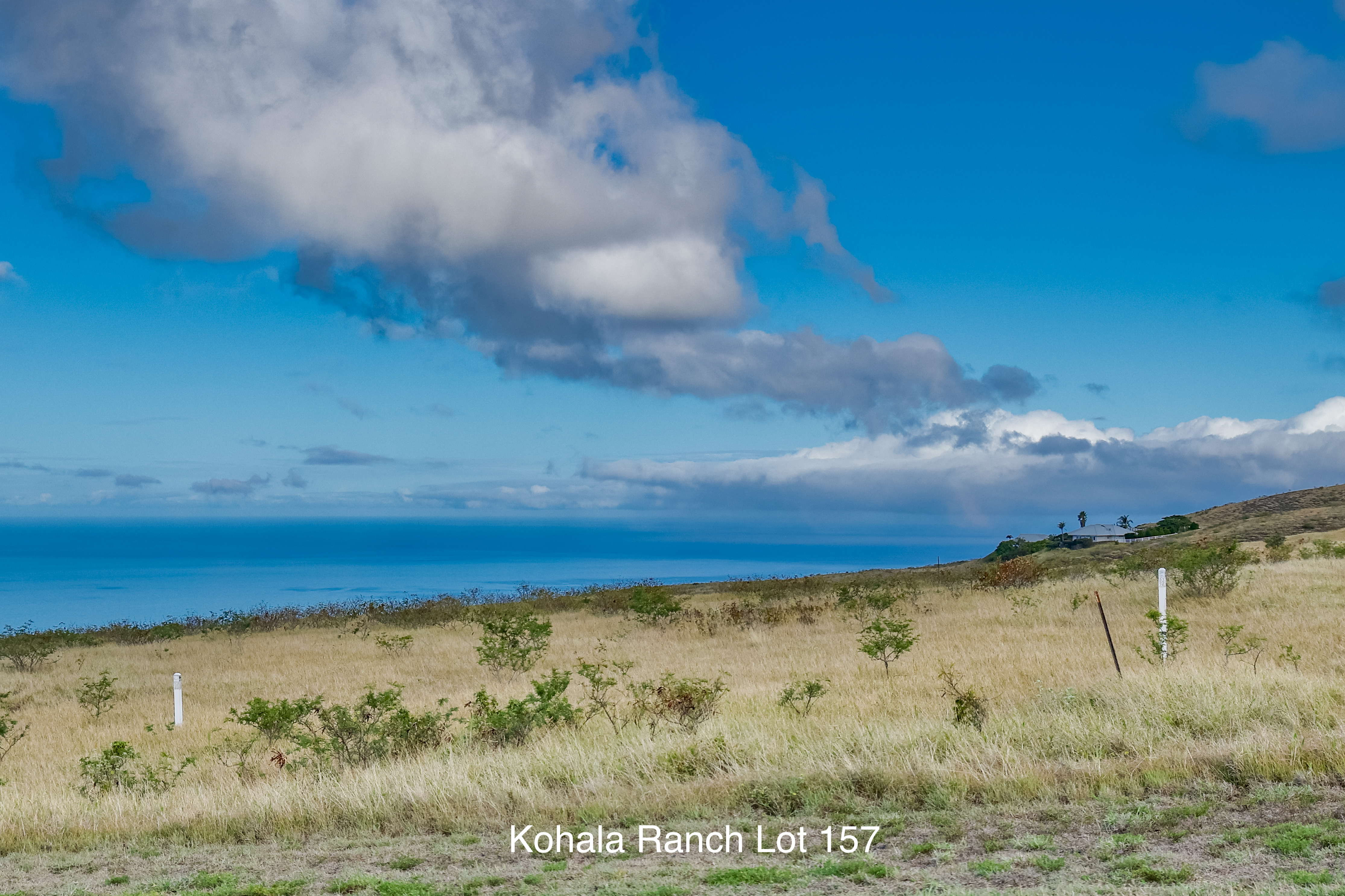 59-1009 Kohala Ranch Rd, Kamuela, HI 96743