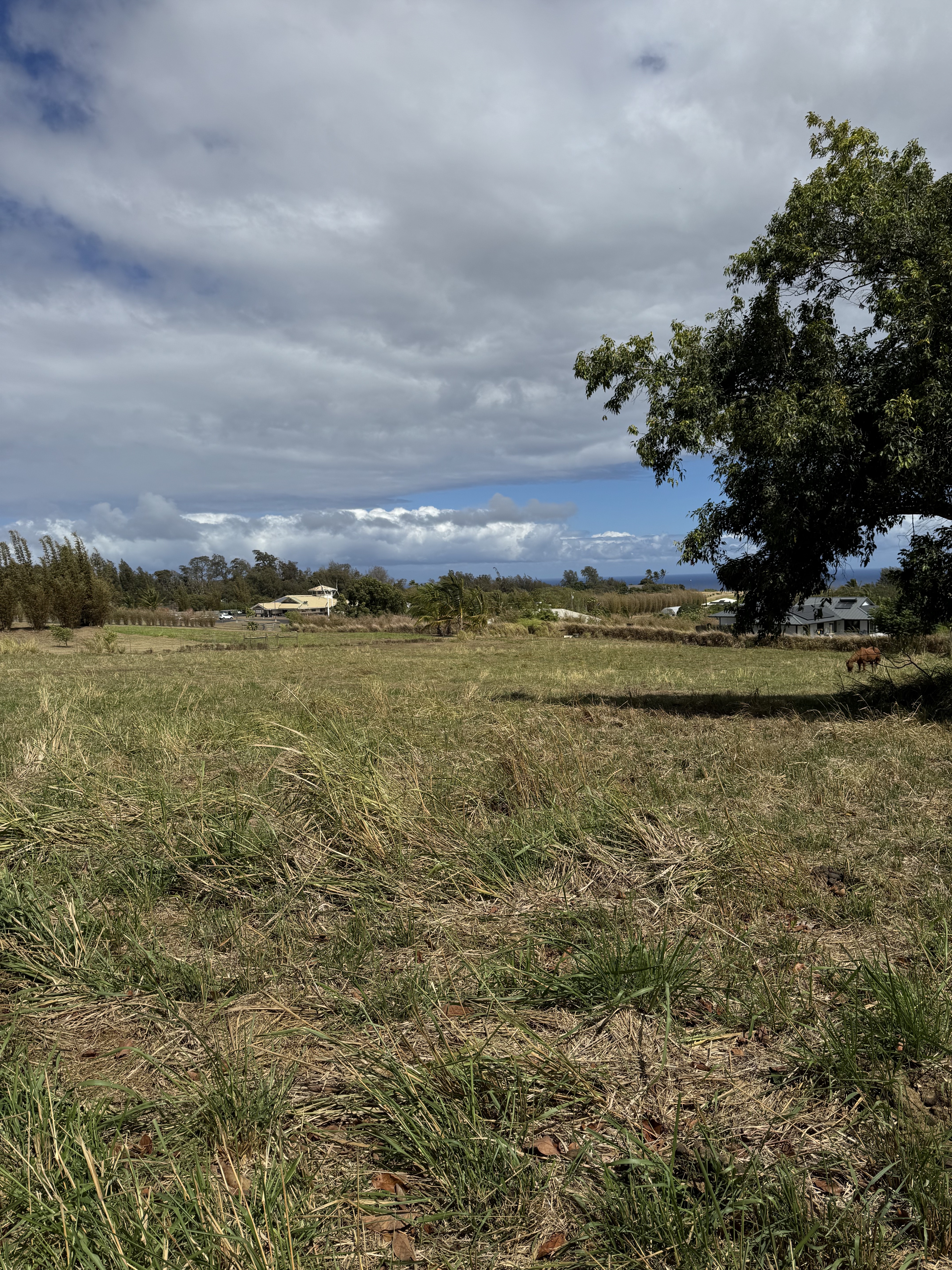 54-1119 Mahiai Pl, Kapaau, HI 96755