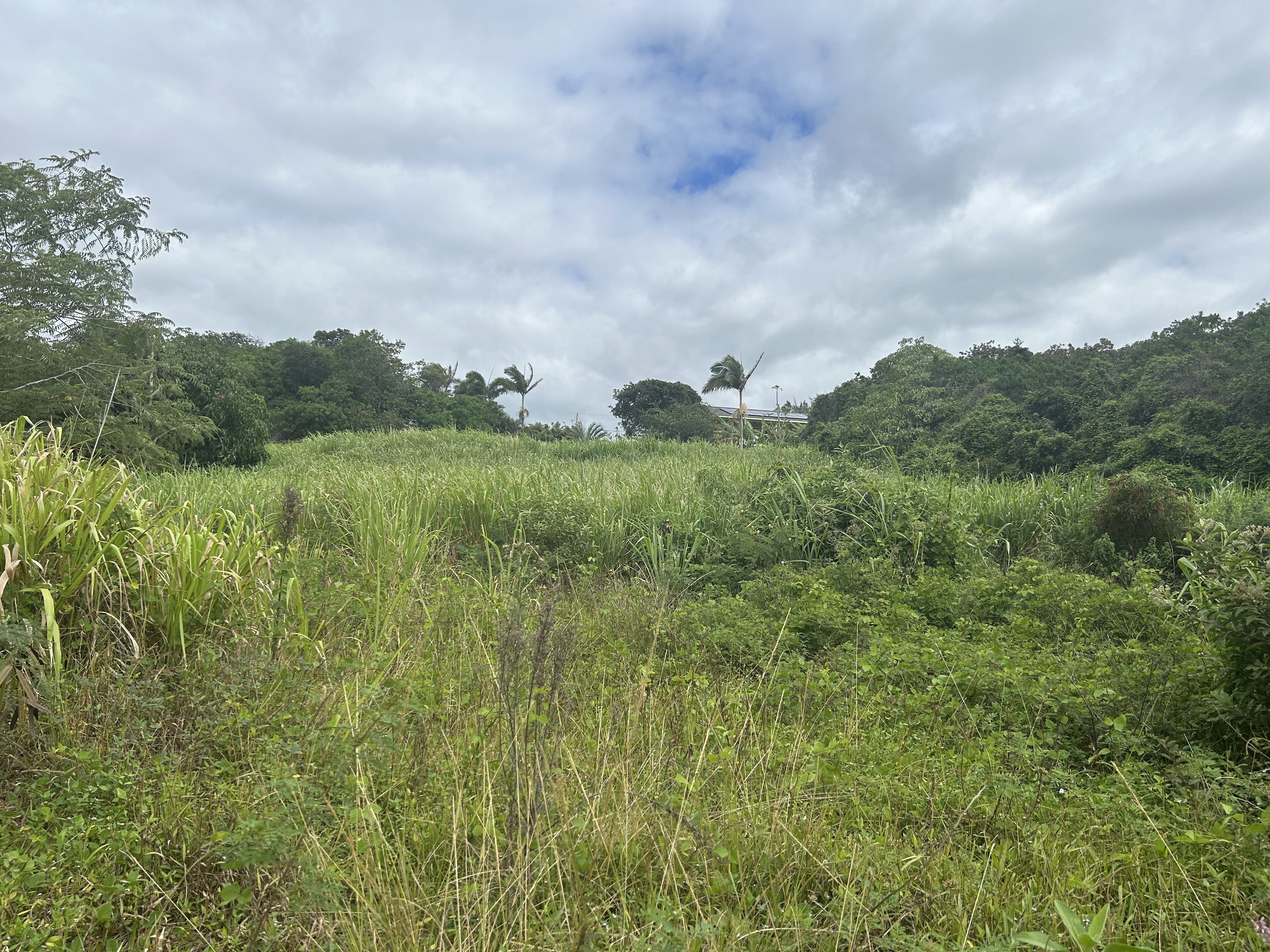 94-6487 Kekuhaupio Rd, Naalehu, HI 96772