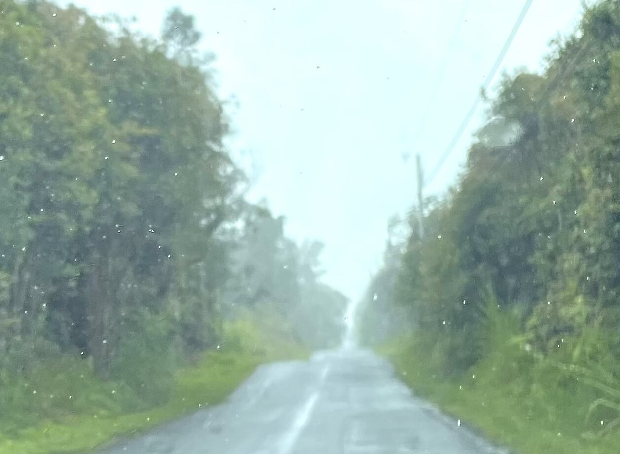 11-3277 Plumeria St, Mountain View, HI 96771