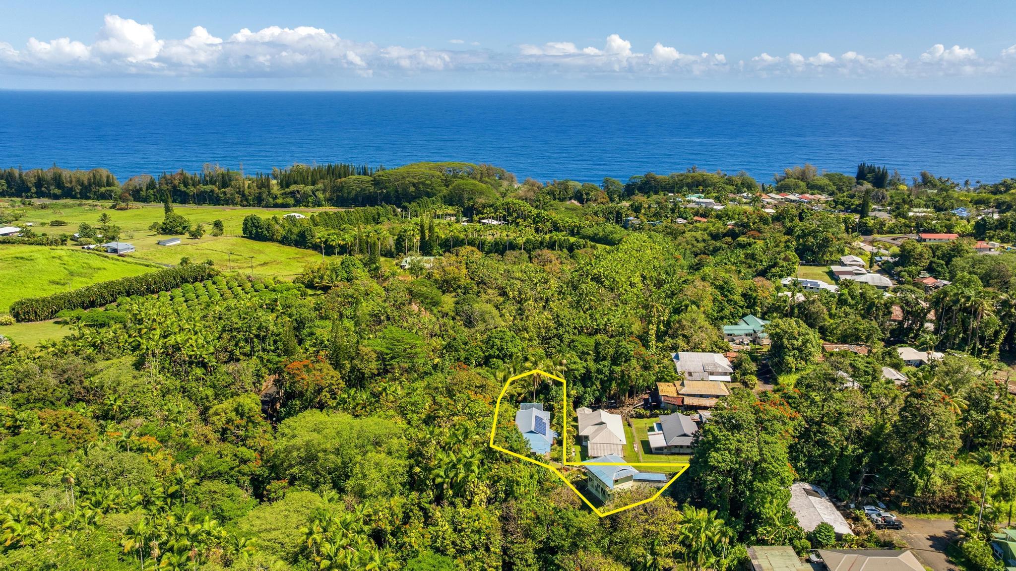 28-1726-A Honomu Rd, Honomu, HI 96728