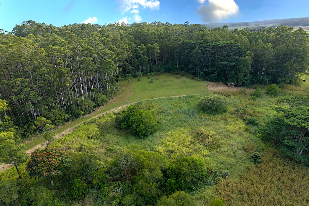 28-668 Kaupakuea Homestead Rd, Papaikou, HI 96783