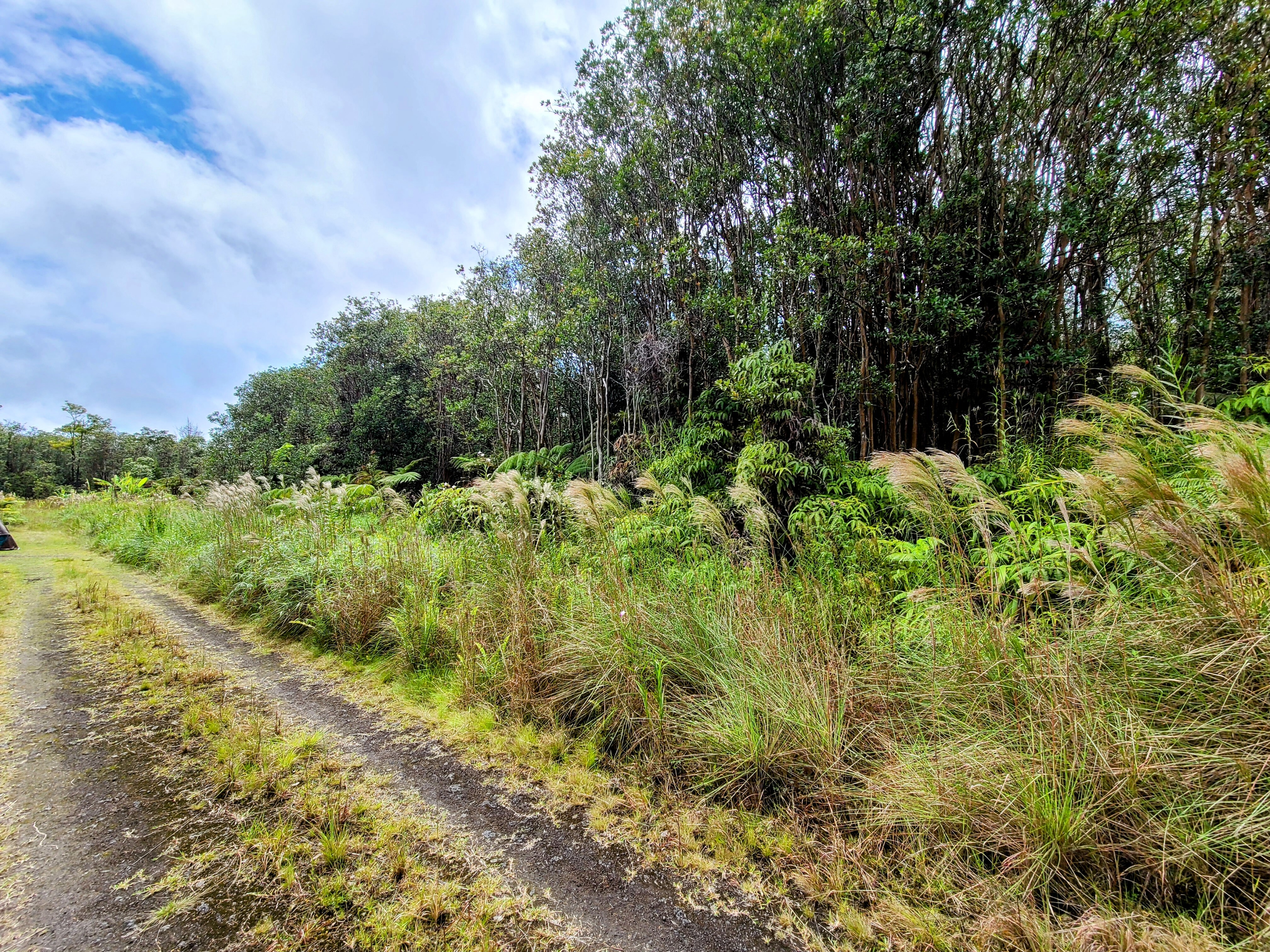 18-2328 Ola Kino Rd, Volcano, HI 96785