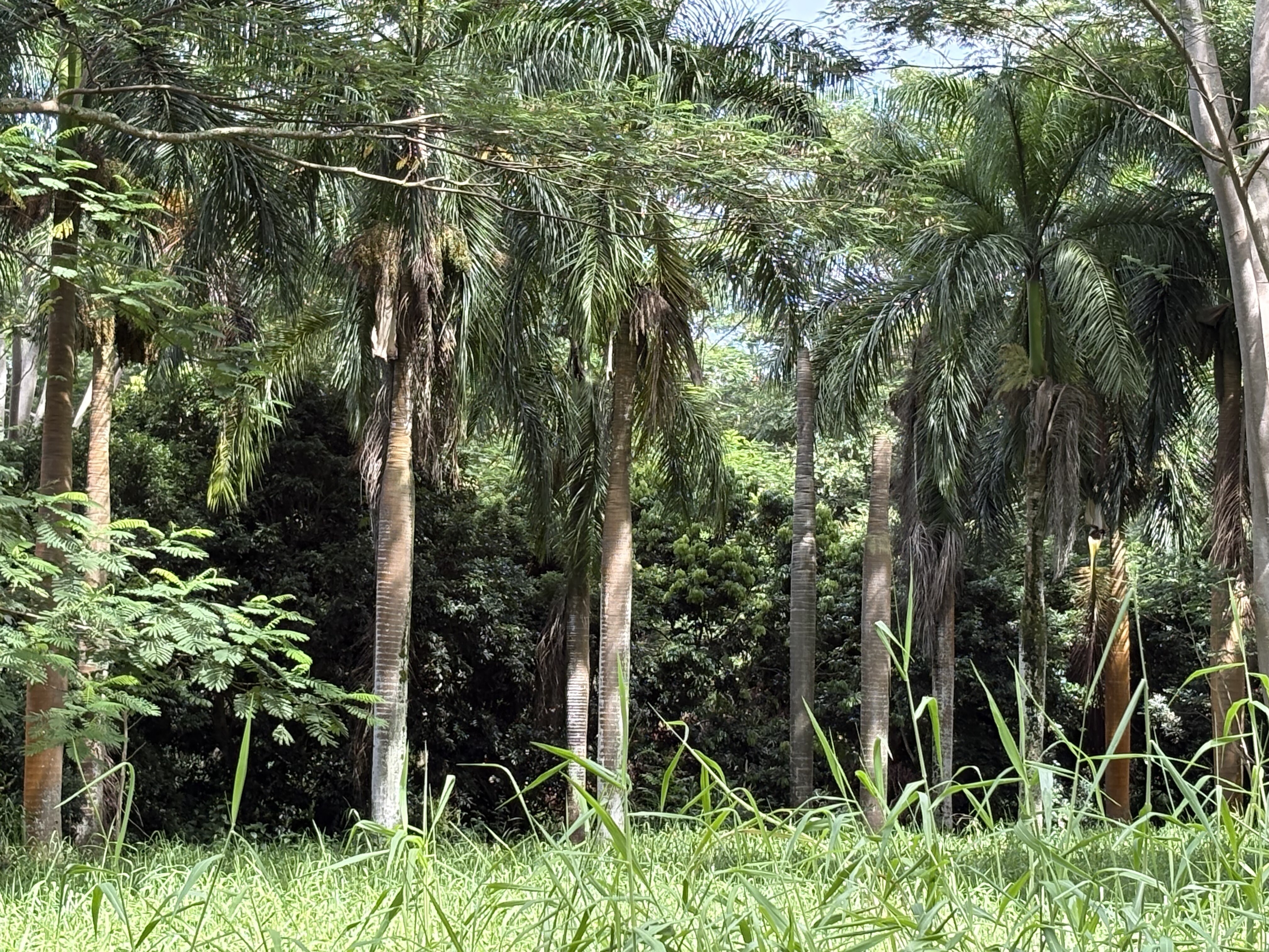 4641-F Kuawa Rd, Kilauea, HI 96754