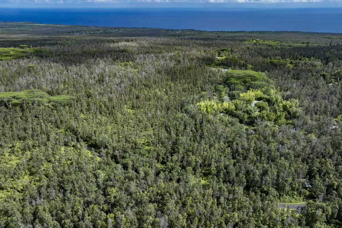 12-4235 Upper Puna Road, Pahoa, HI 96778