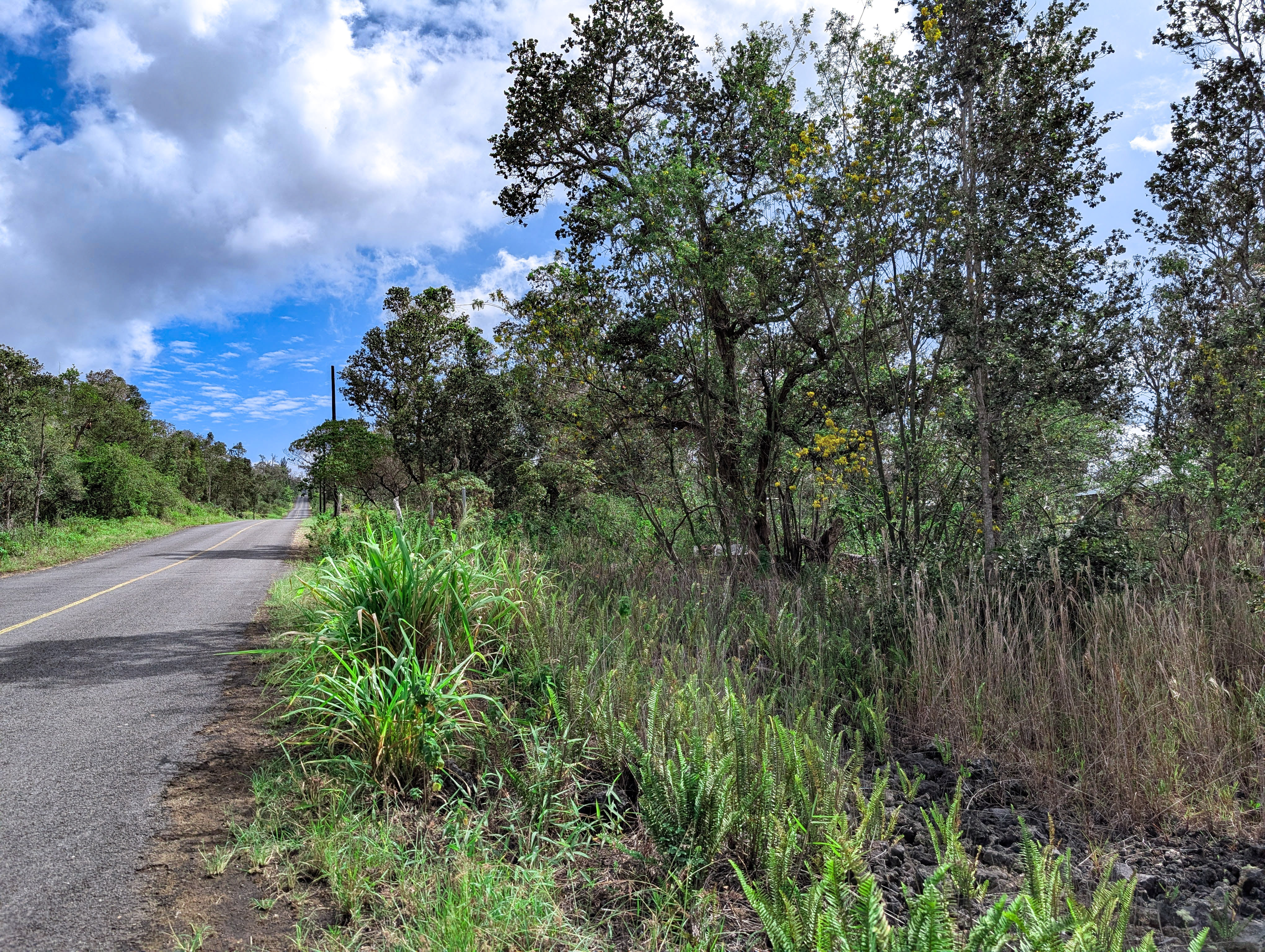 92-1524 Coral Parkway, Ocean View, HI 96737