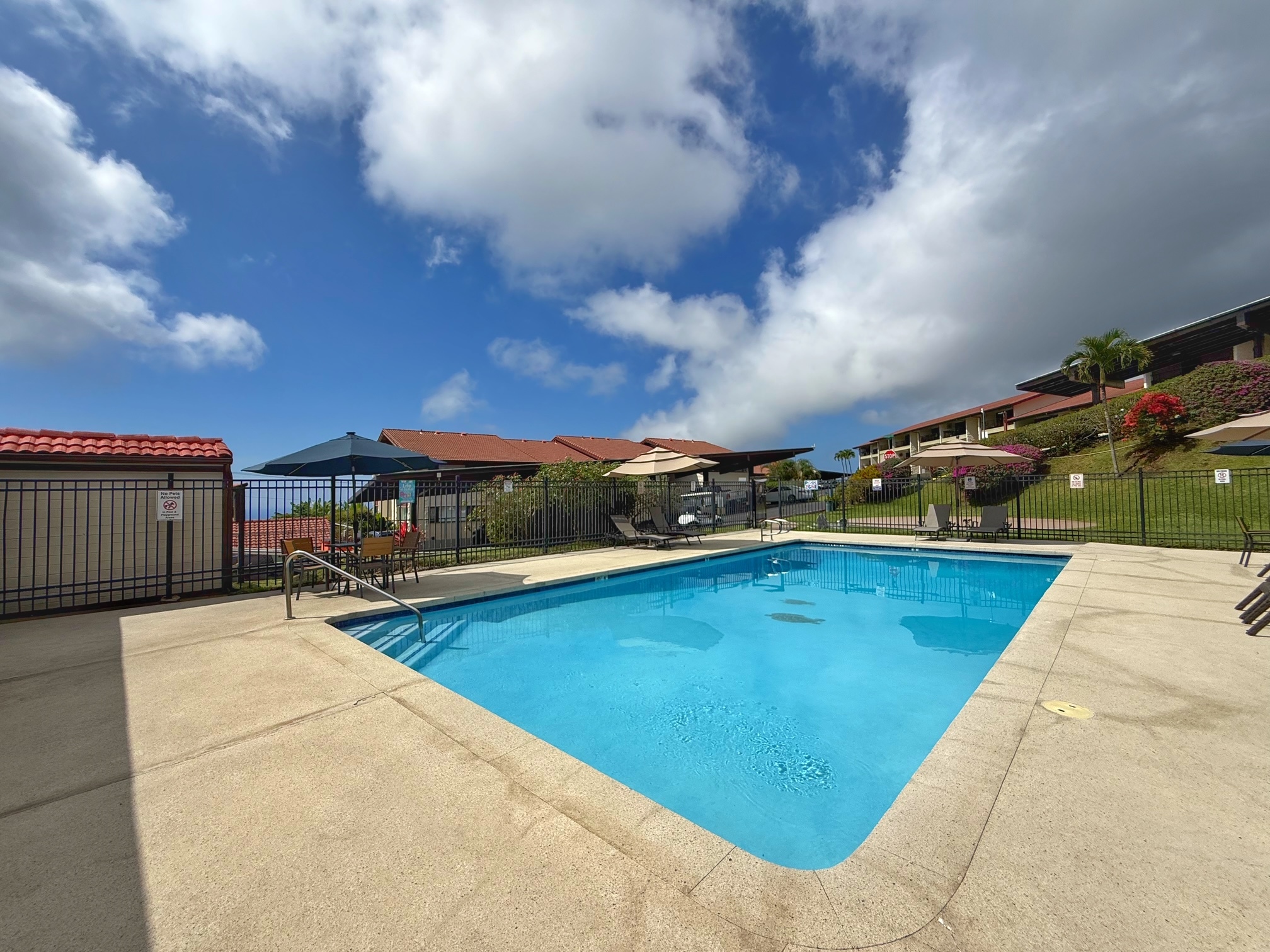 79-7199 Mamalahoa  Highway, 144, Holualoa, HI 96725