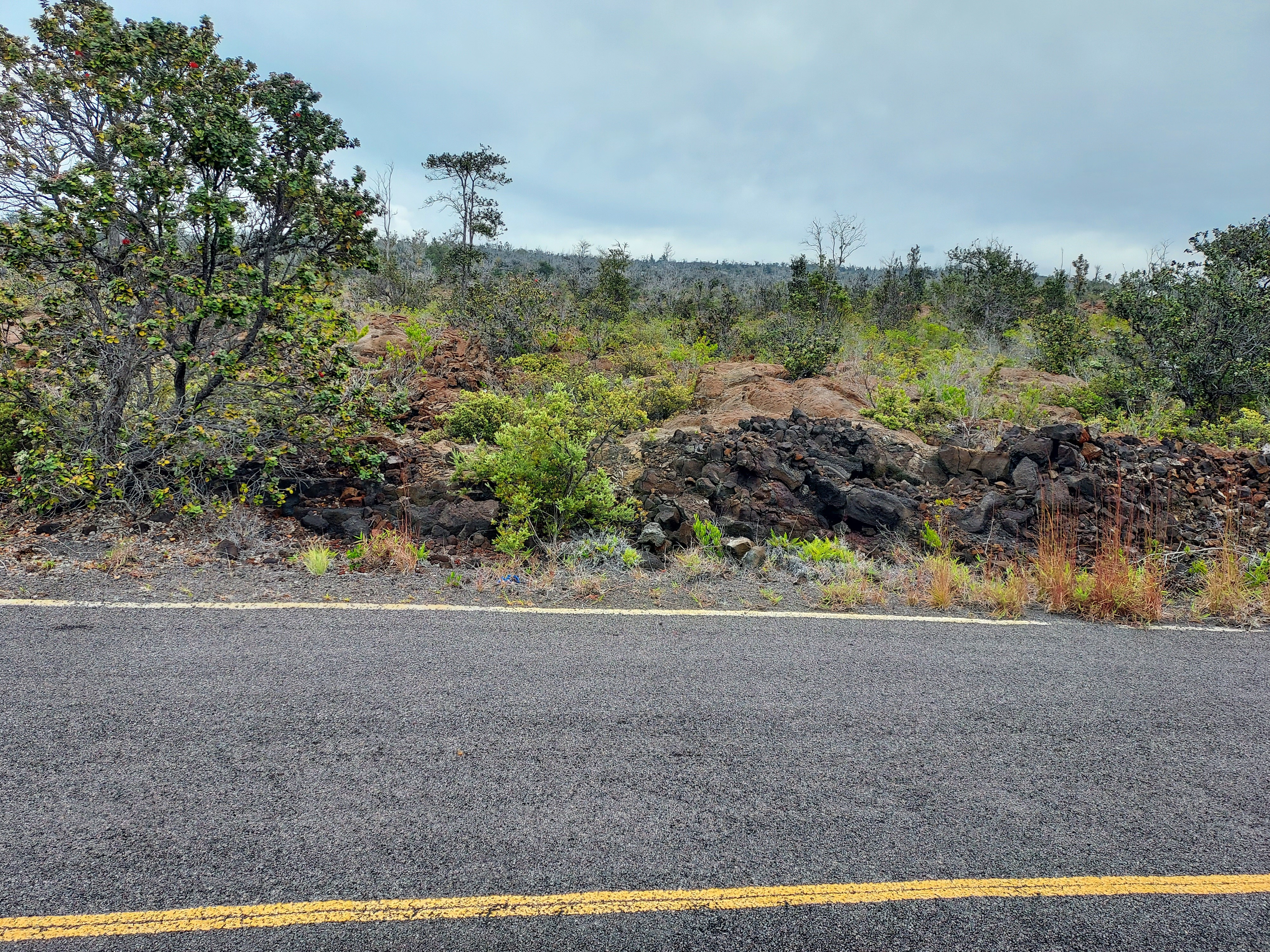 92-2731 Ohia Dr, Ocean View, HI 96737