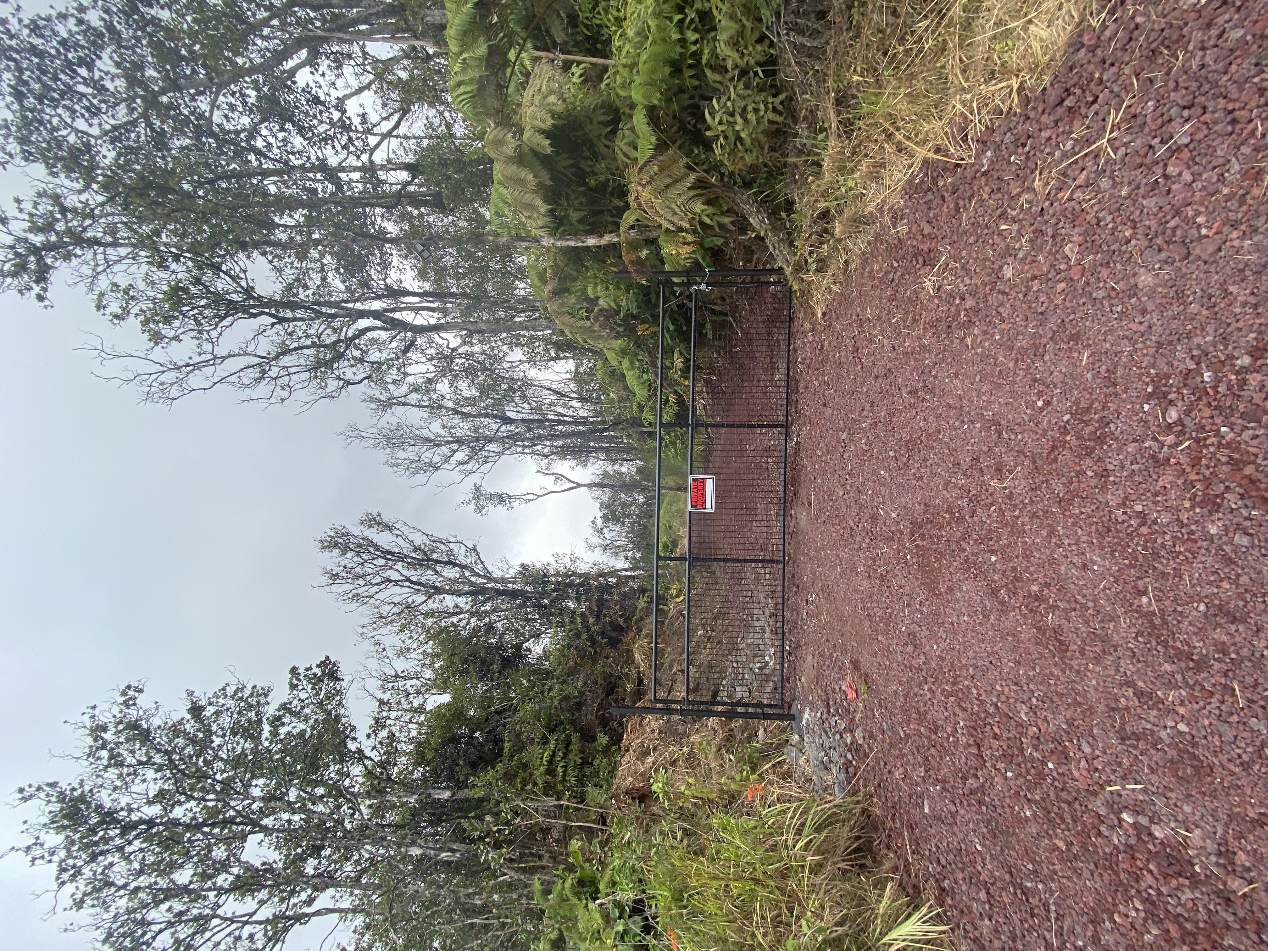 11-2889 Kaleponi Dr, Volcano, HI 96785