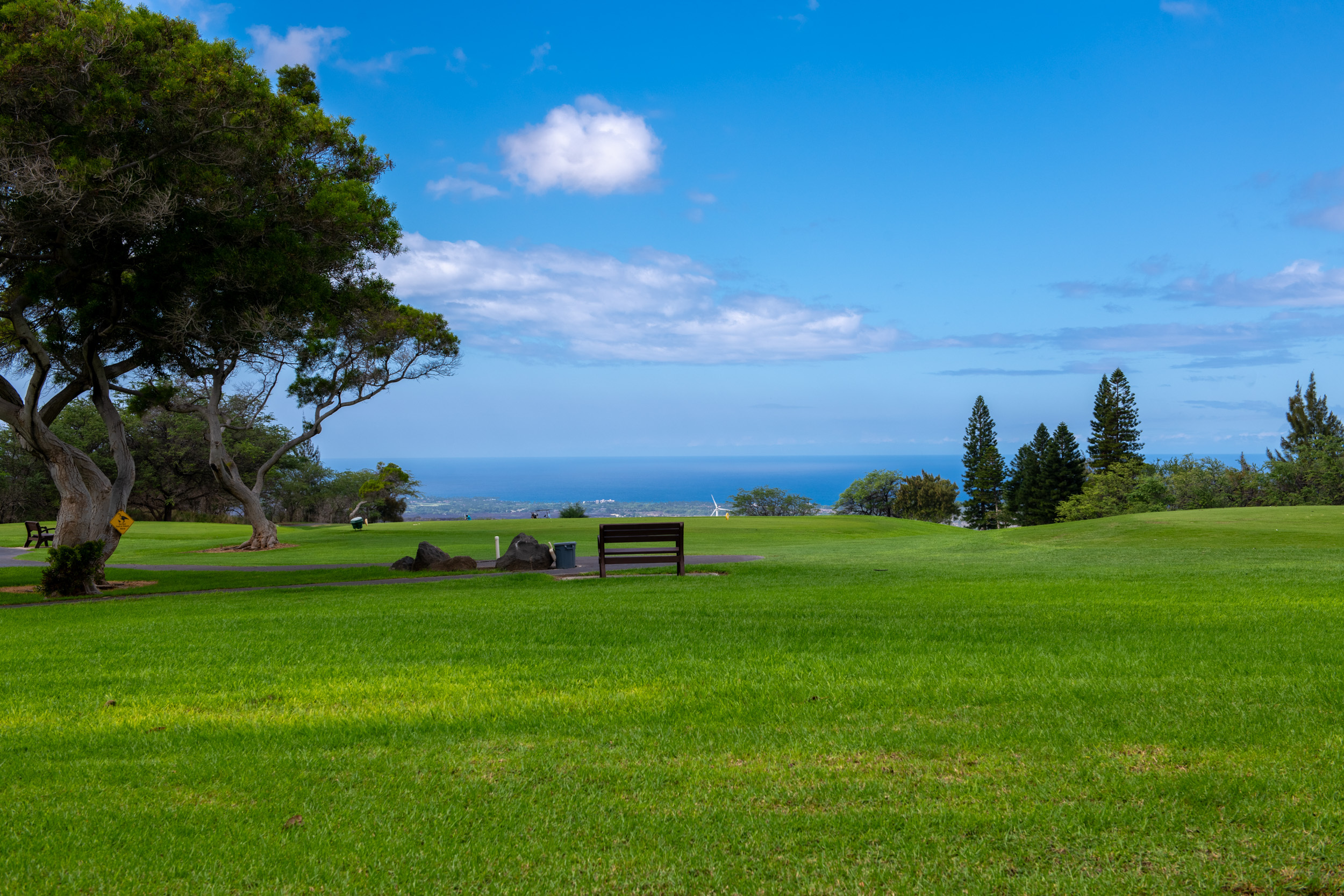 68-1767 Melia St, E9ES1, Waikoloa, HI 96738