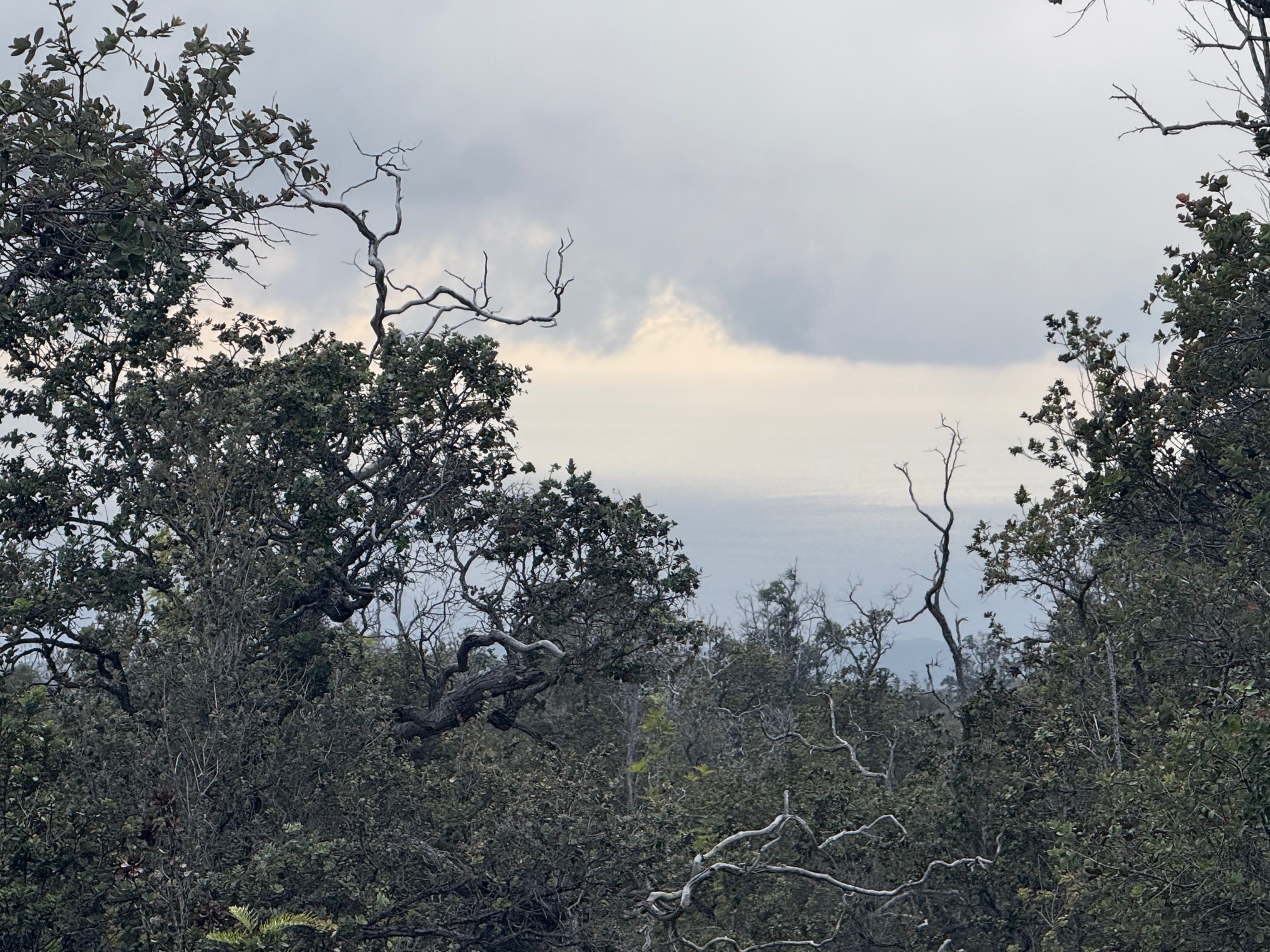 92-9037 Leilani Pkwy, Ocean View, HI 96737