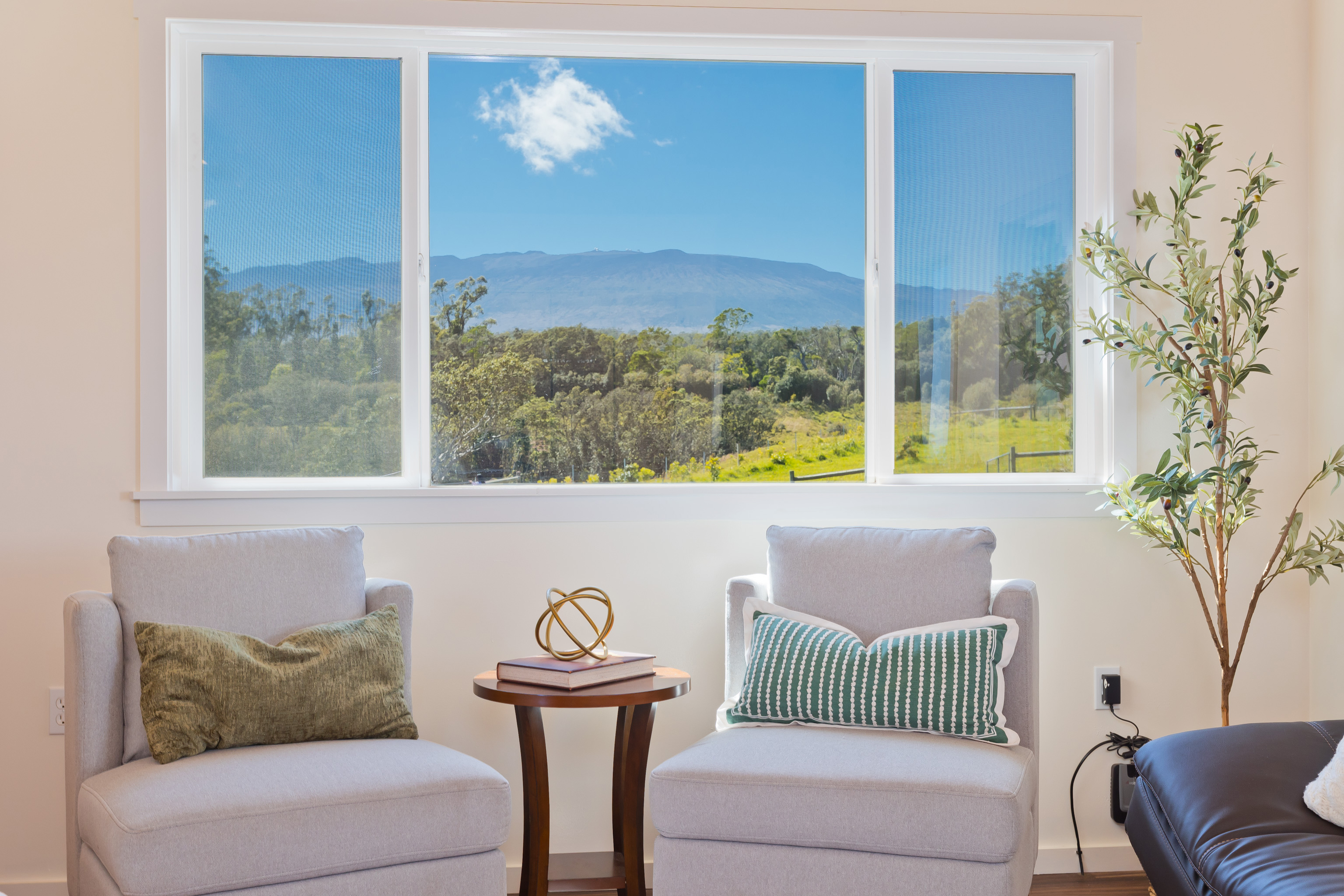 46-3715 Puaono Rd, Honokaa, HI 96727