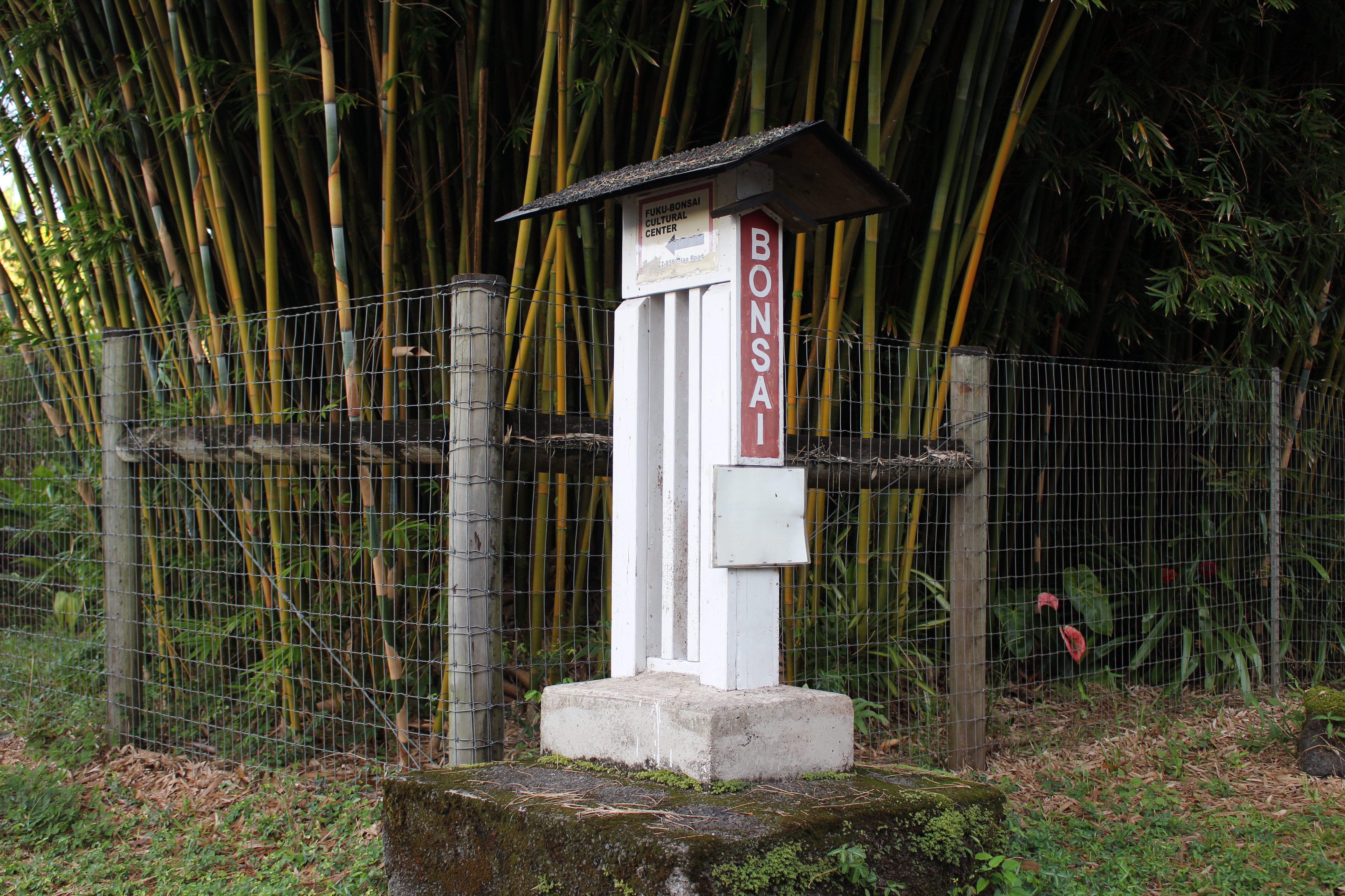 17-856-A Olaa Rd, Kurtistown, HI 96760