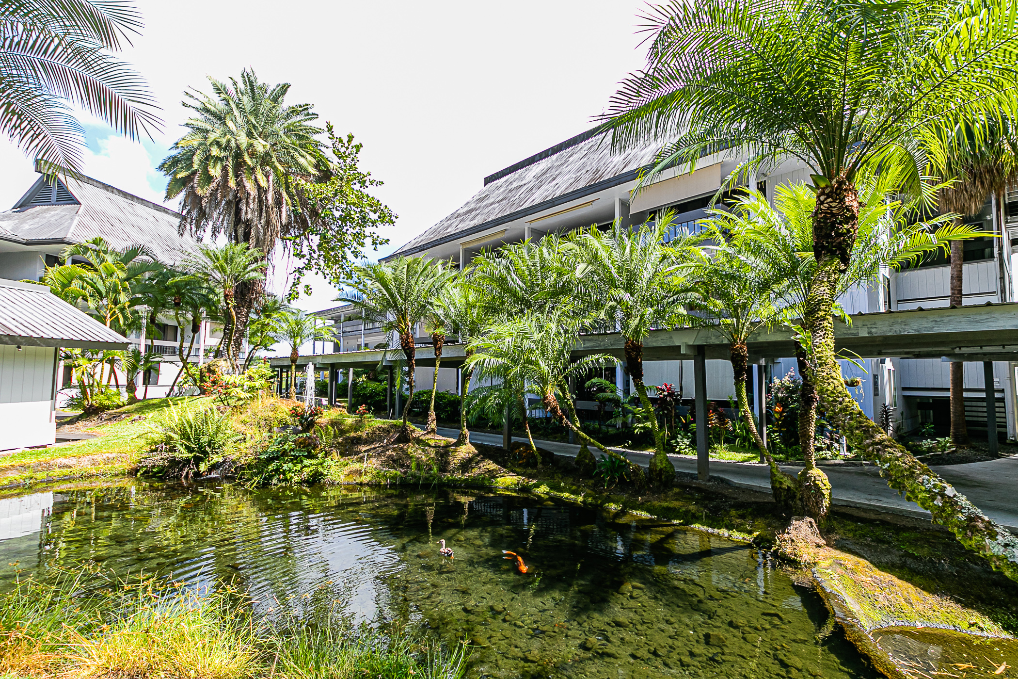 400 Hualani St, 5238, Hilo, HI 96720