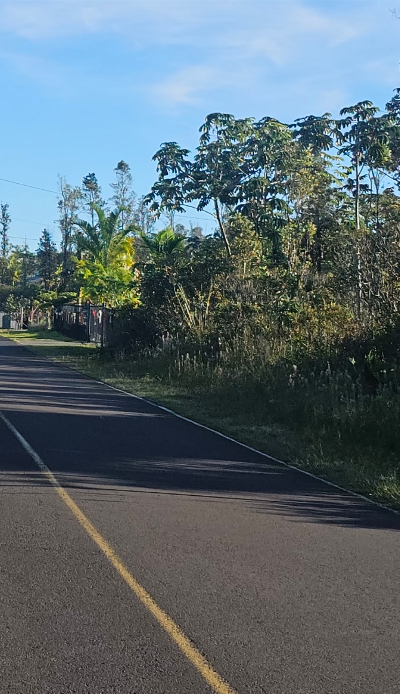 16-2056 Rainbow Dr, Pahoa, HI 96778