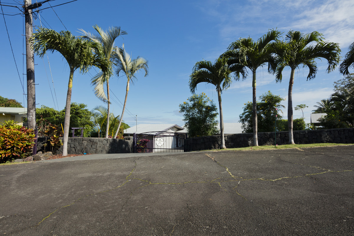 36-2344 Pualaea Pl, Laupahoehoe, HI 96764