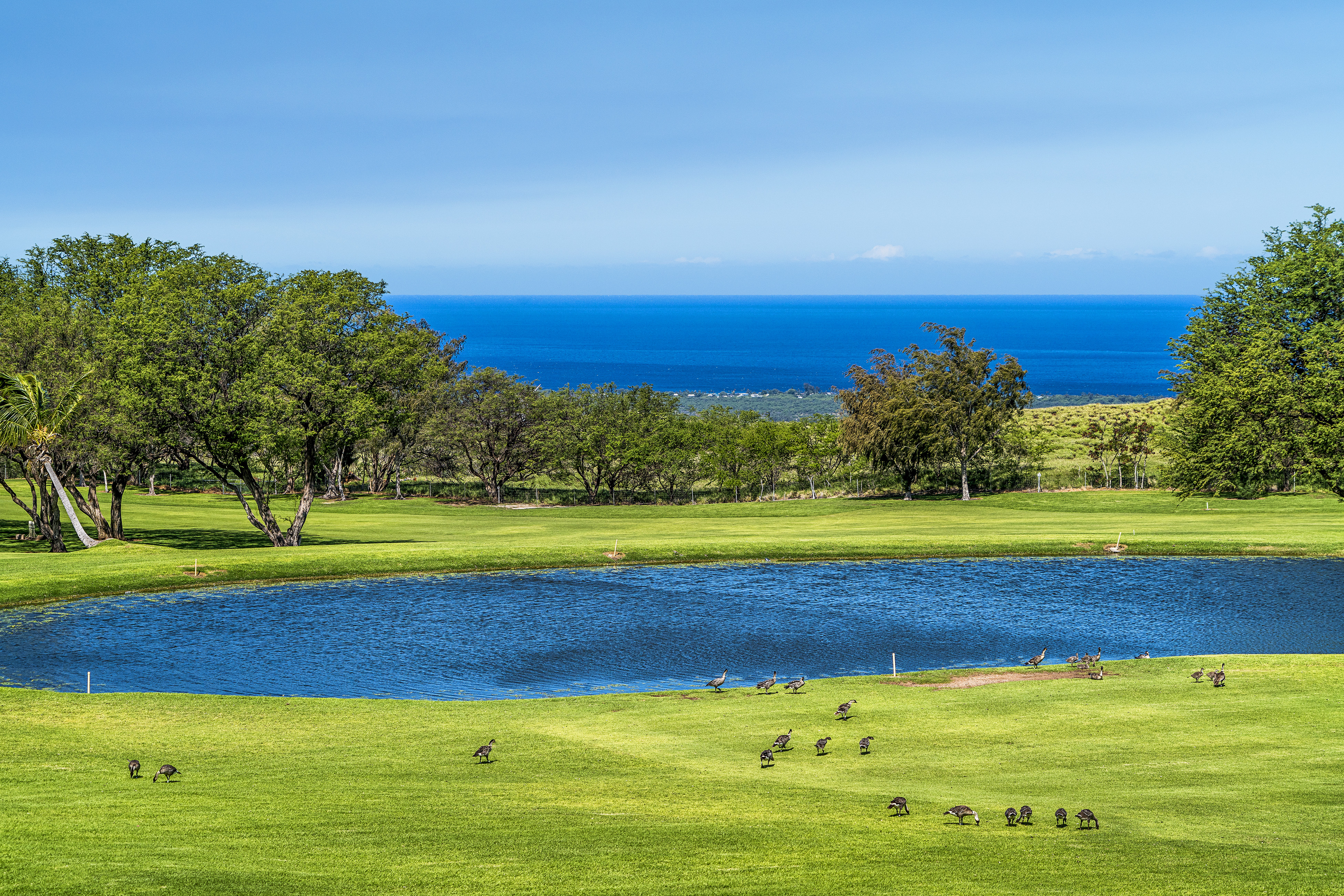 68-1754 Melia St, A310, Waikoloa, HI 96738