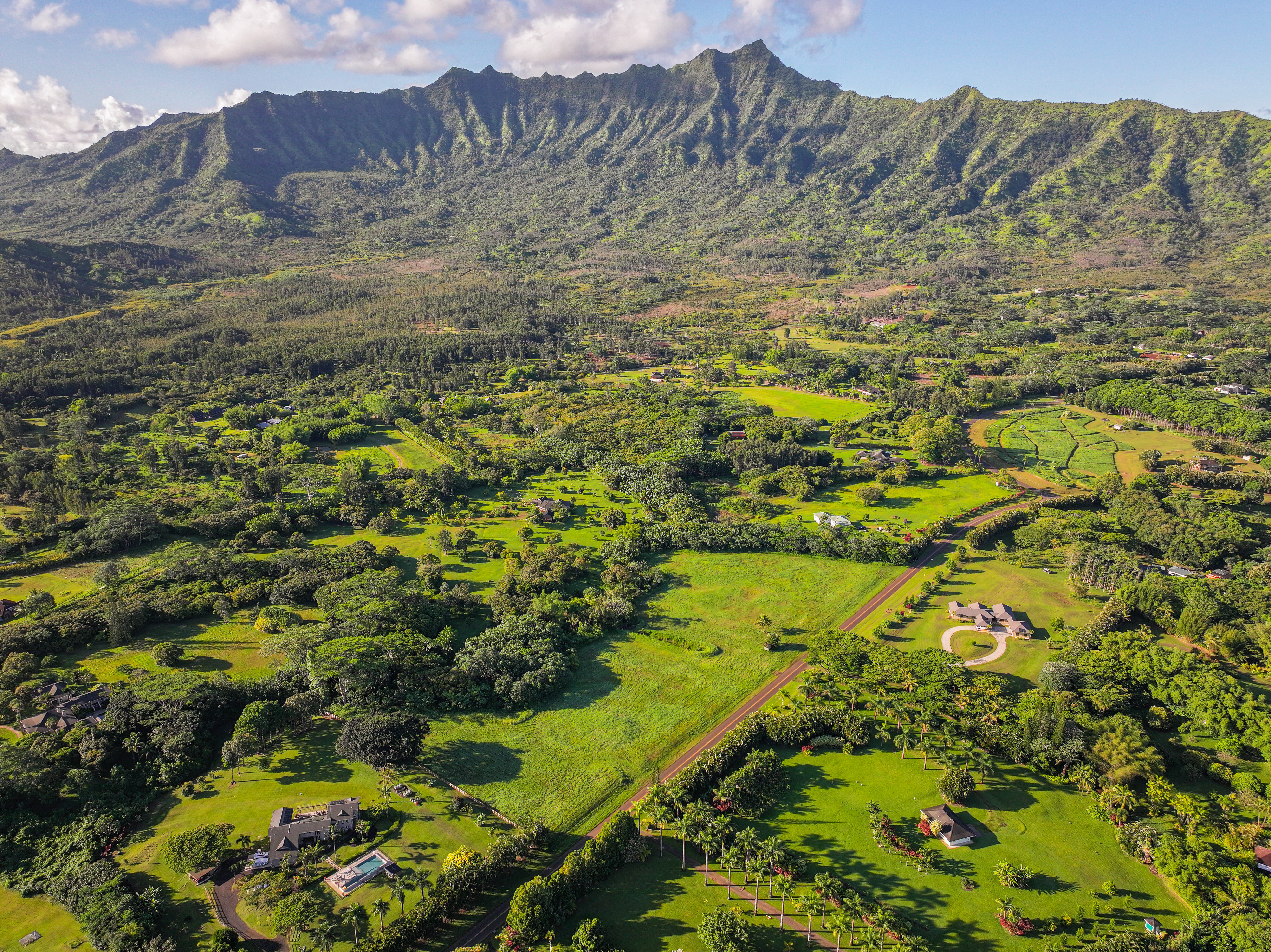 5835 Kahiliholo Rd, 4, Kilauea, HI 96722