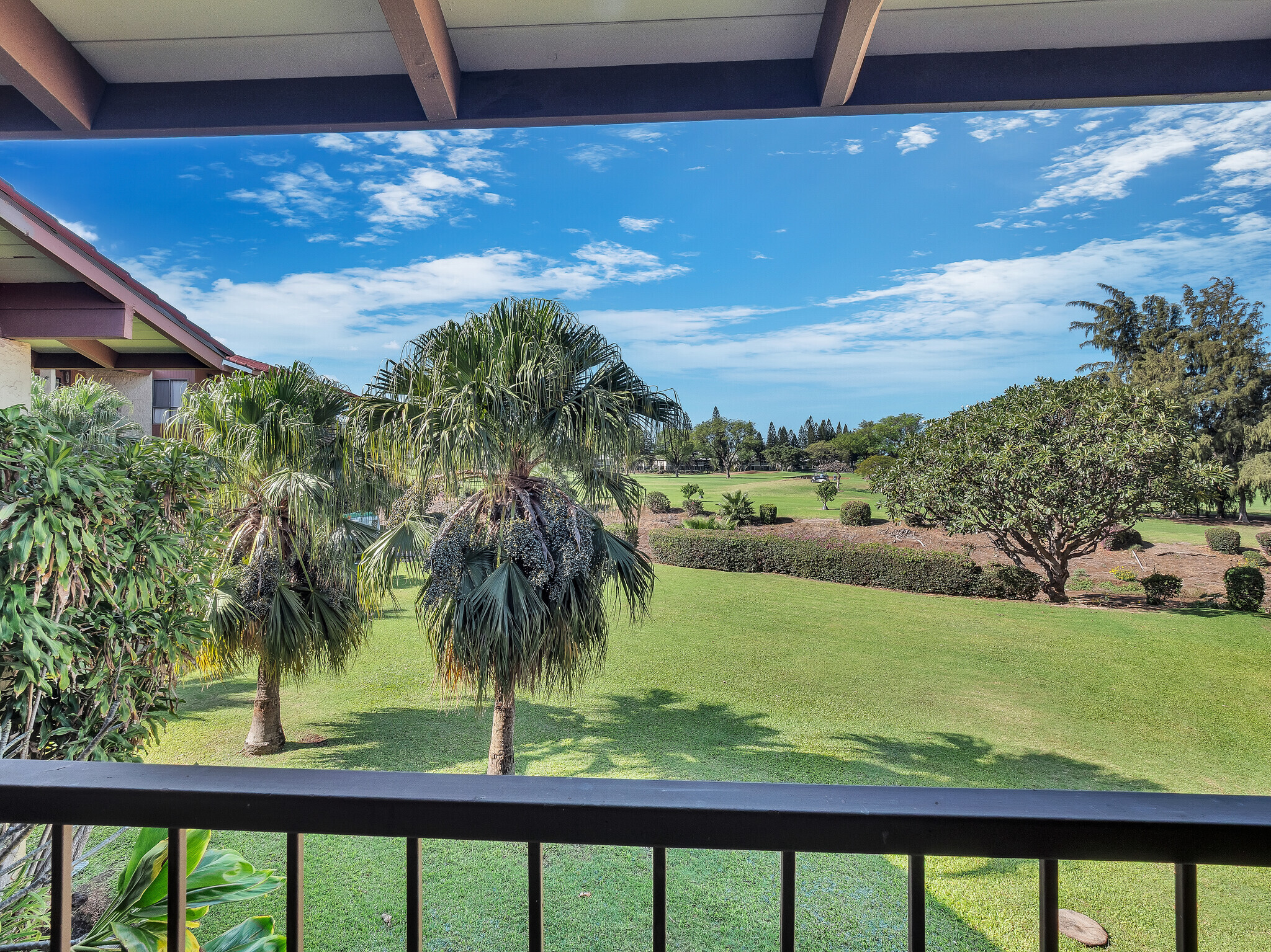 68-3890 Paniolo Ave, 224, Waikoloa, HI 96738