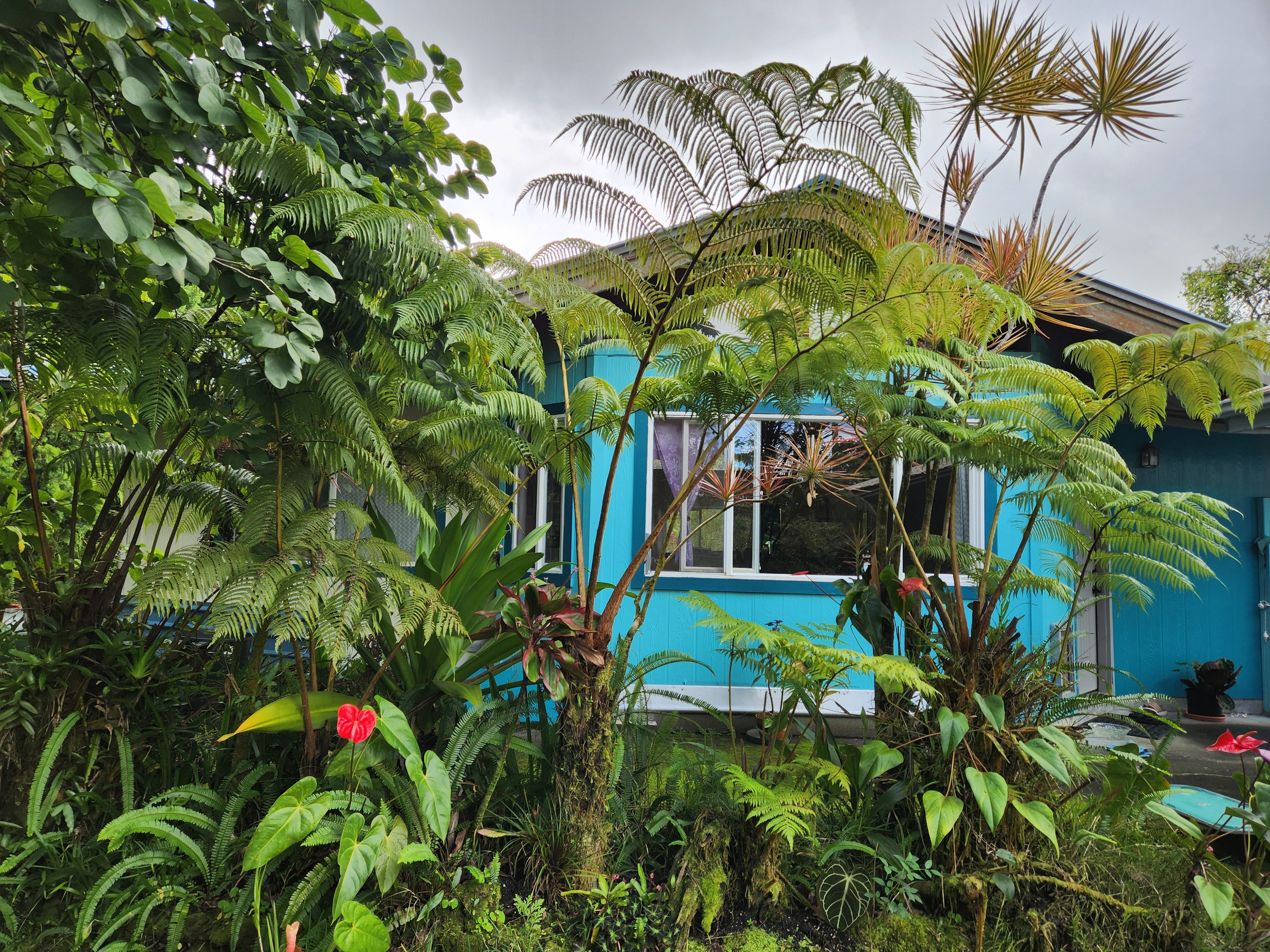 13-1103 Malama St, Pahoa, HI 96778