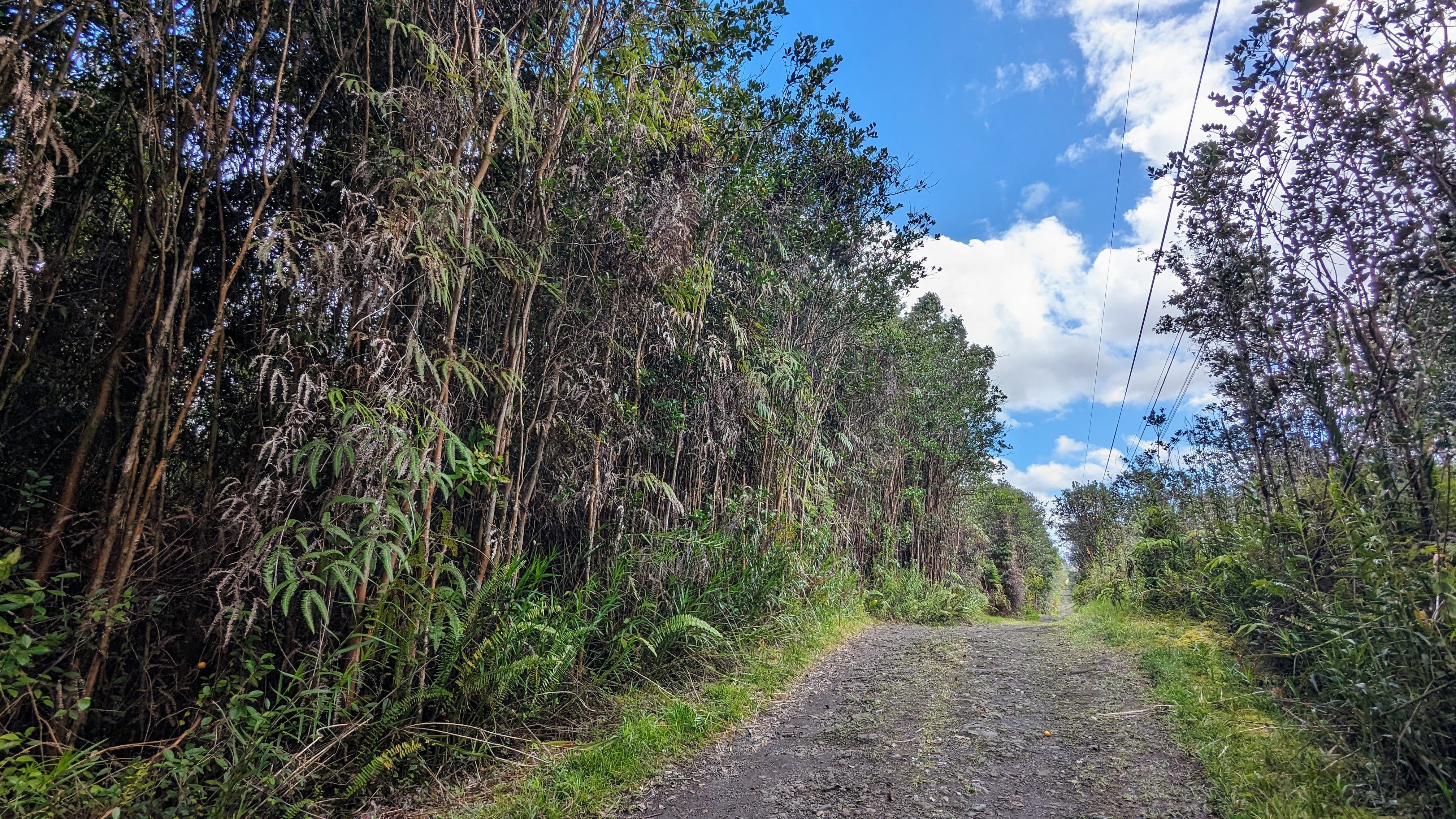 16-1395 Road 5 (Uau), Mountain View, HI 96749