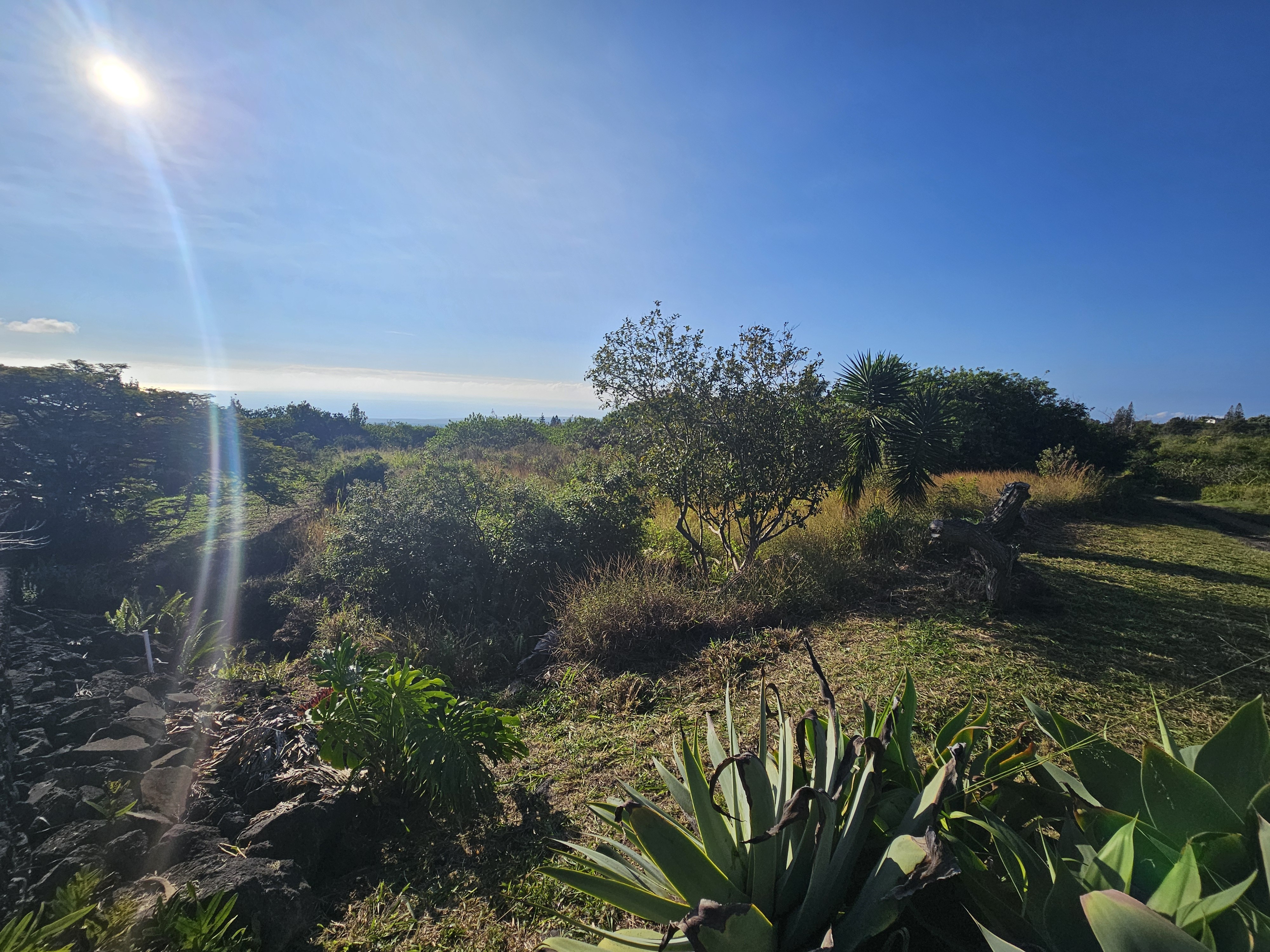 94-6587 Lewa Lani St, Naalehu, HI 96772