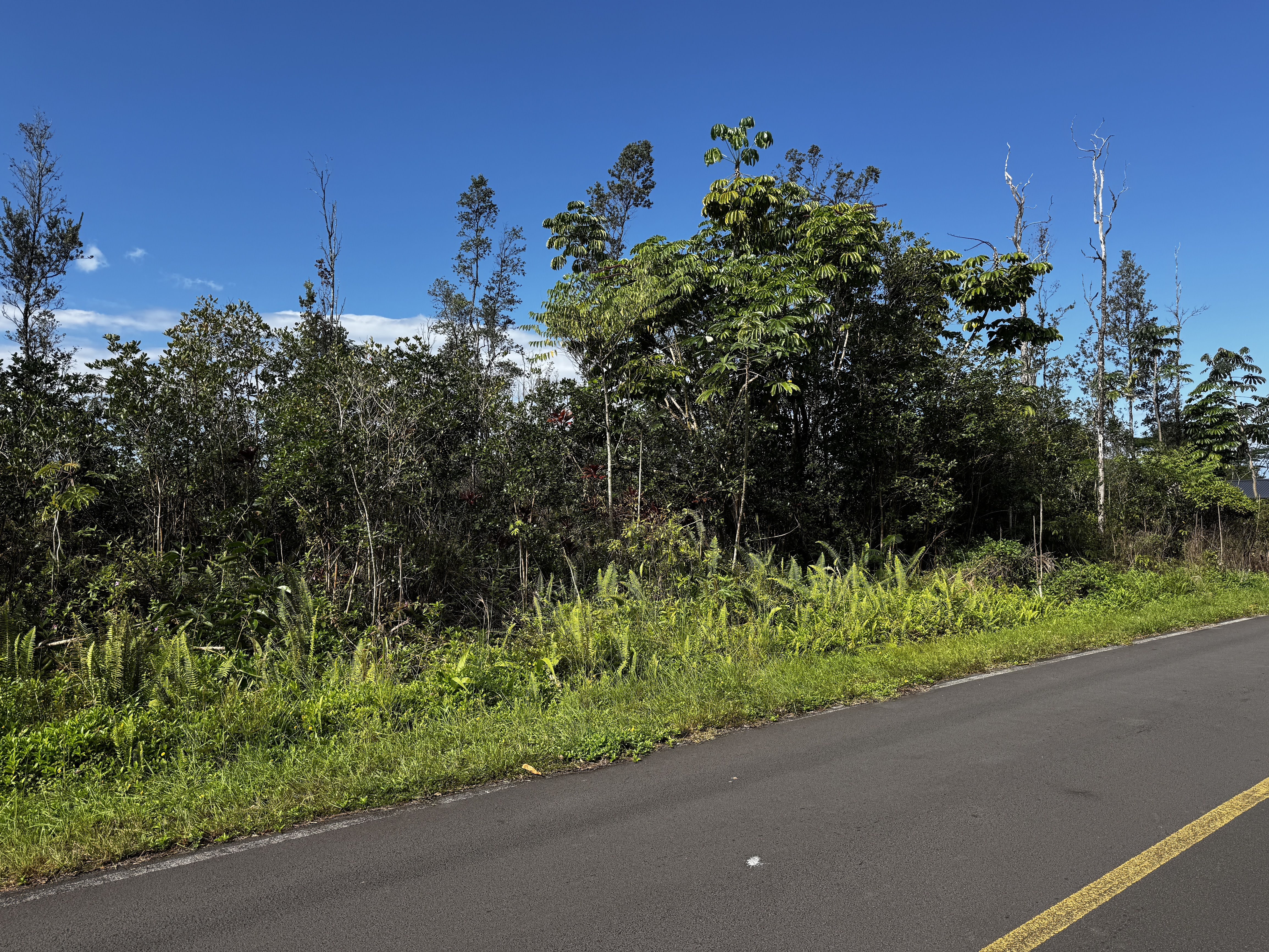 16-2100 Gardenia Dr, Pahoa, HI 96778