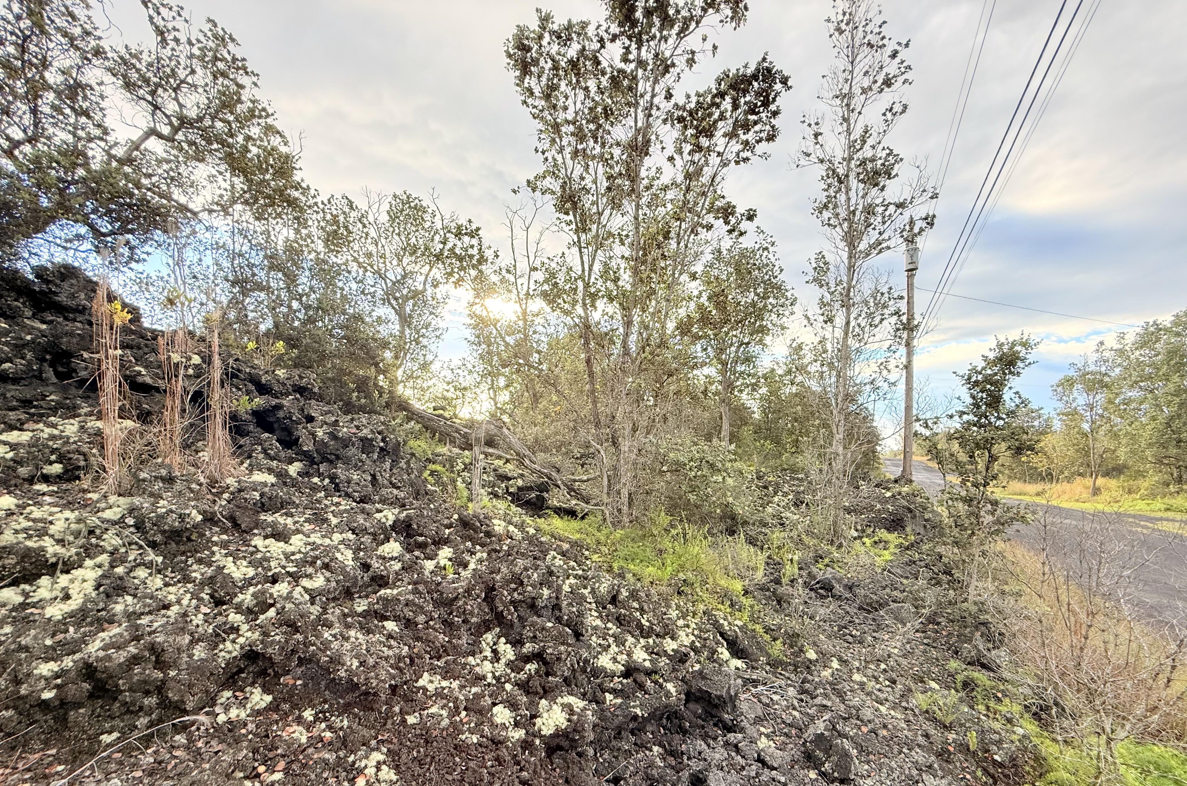 92-9126 Leilani Pkwy, Ocean View, HI 96737