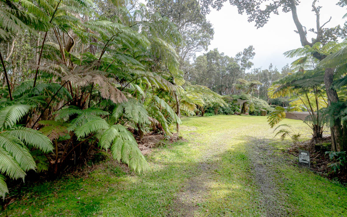 11-3849 2Nd St, Volcano, HI 96785