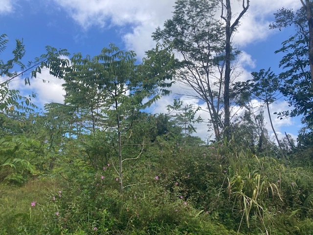 14-3479 Shell Rd, Pahoa, HI 96778