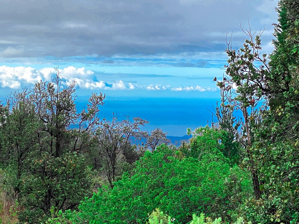 92-2120 Kona Drive, Ocean View, HI 96737