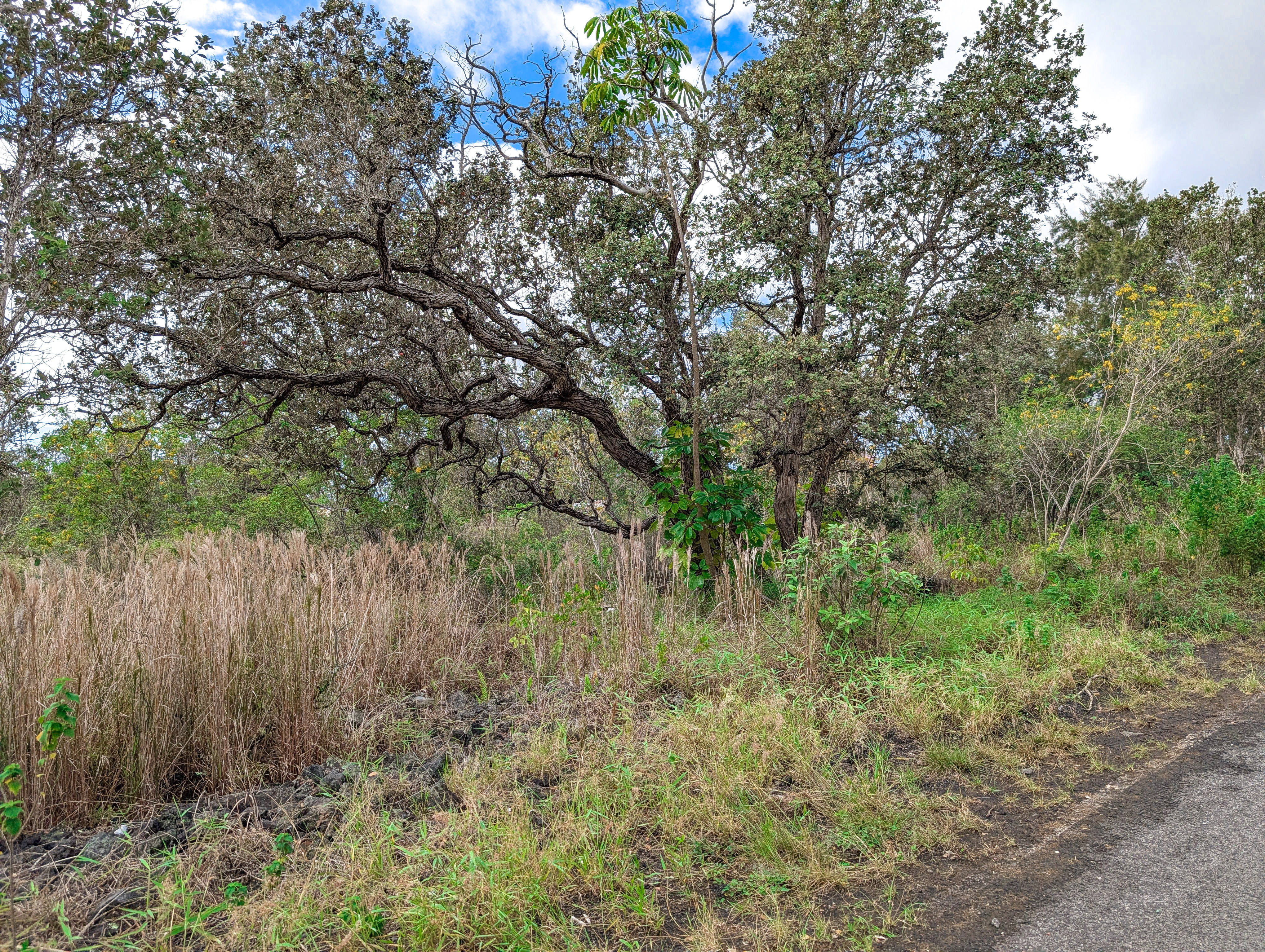 92-1524 Coral Parkway, Ocean View, HI 96737