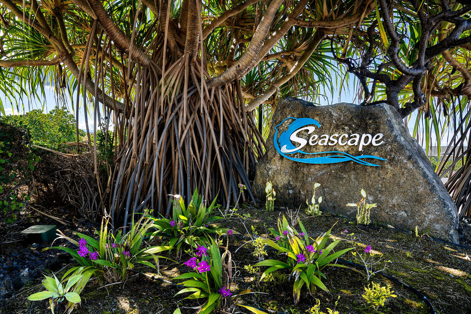 73-1104 Nuuanu Pl, G203, Kailua Kona, HI 96740