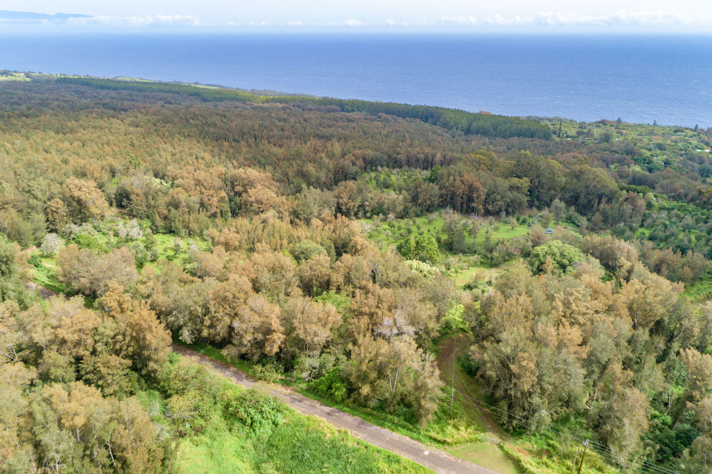 47-4630 Cane Haul Rd, Honokaa, HI 96727