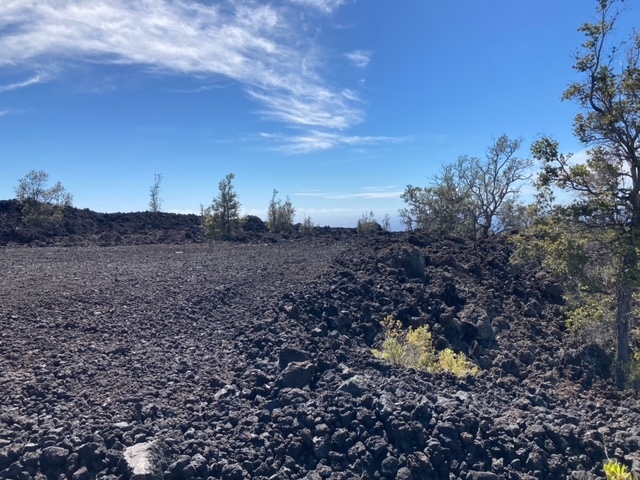 92-8953 Jacaranda Dr, Ocean View, HI 96737