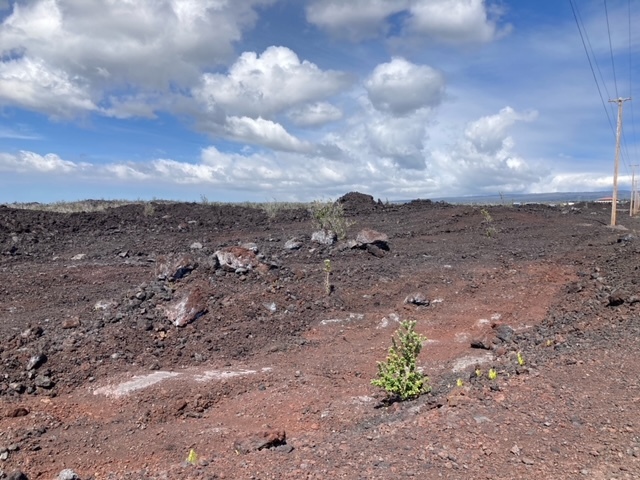 92-927 Kona Gardens Rd, Ocean View, HI 96737