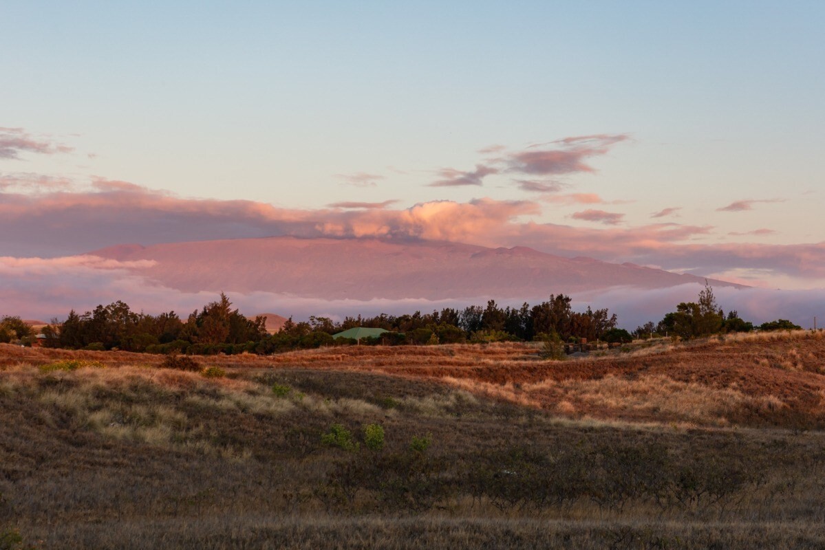 4 Kanehoa St, Kamuela, HI 96743